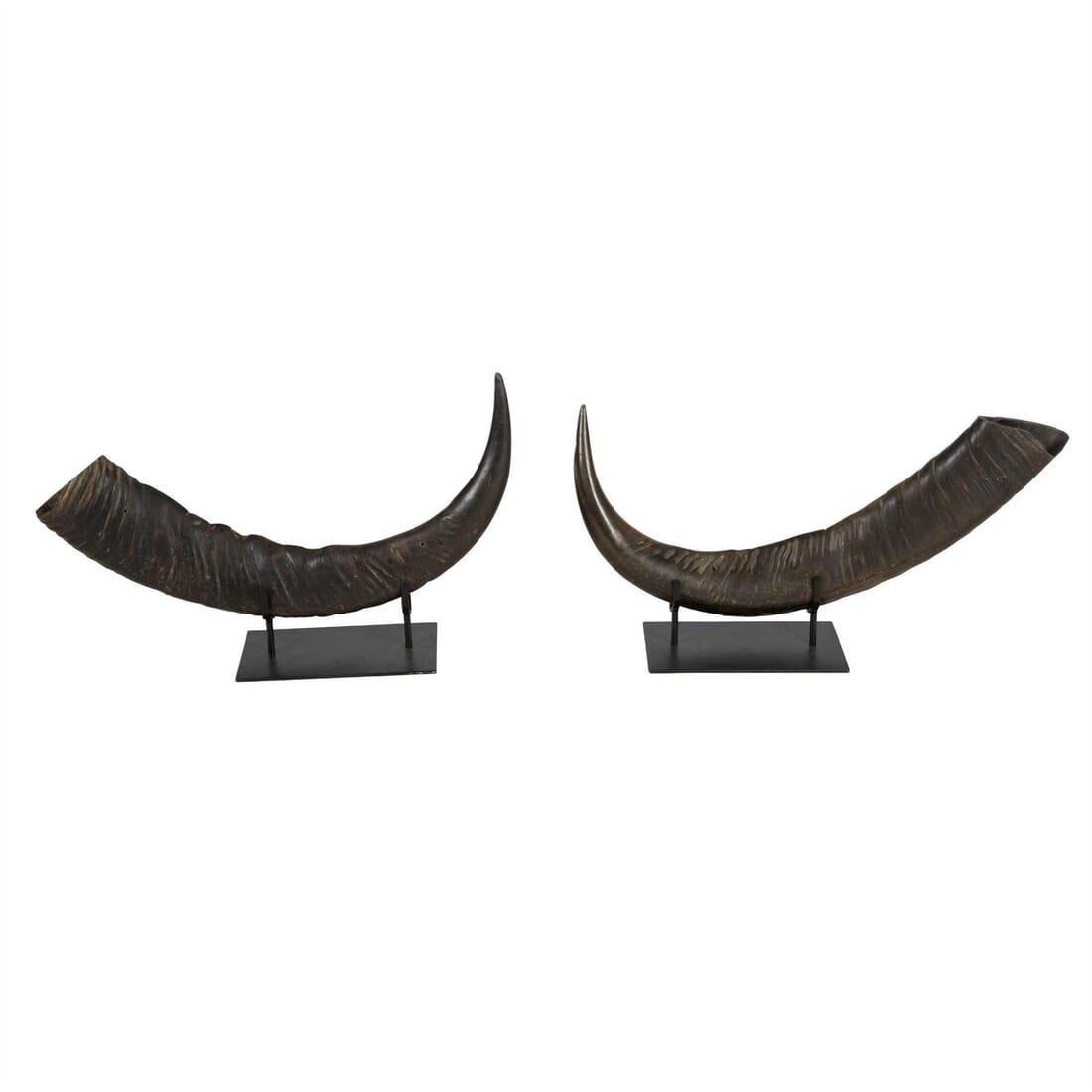 Pair of Mounted Horns In Good Condition In Gloucestershire, GB