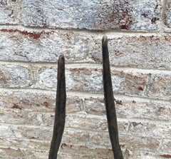Pair of Mounted Ibex Antlers