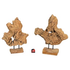 Pair of Mounted Natural Driftwood Sculptures