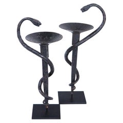 Pair of Mounted Serpent Hygeia Rx Symbols