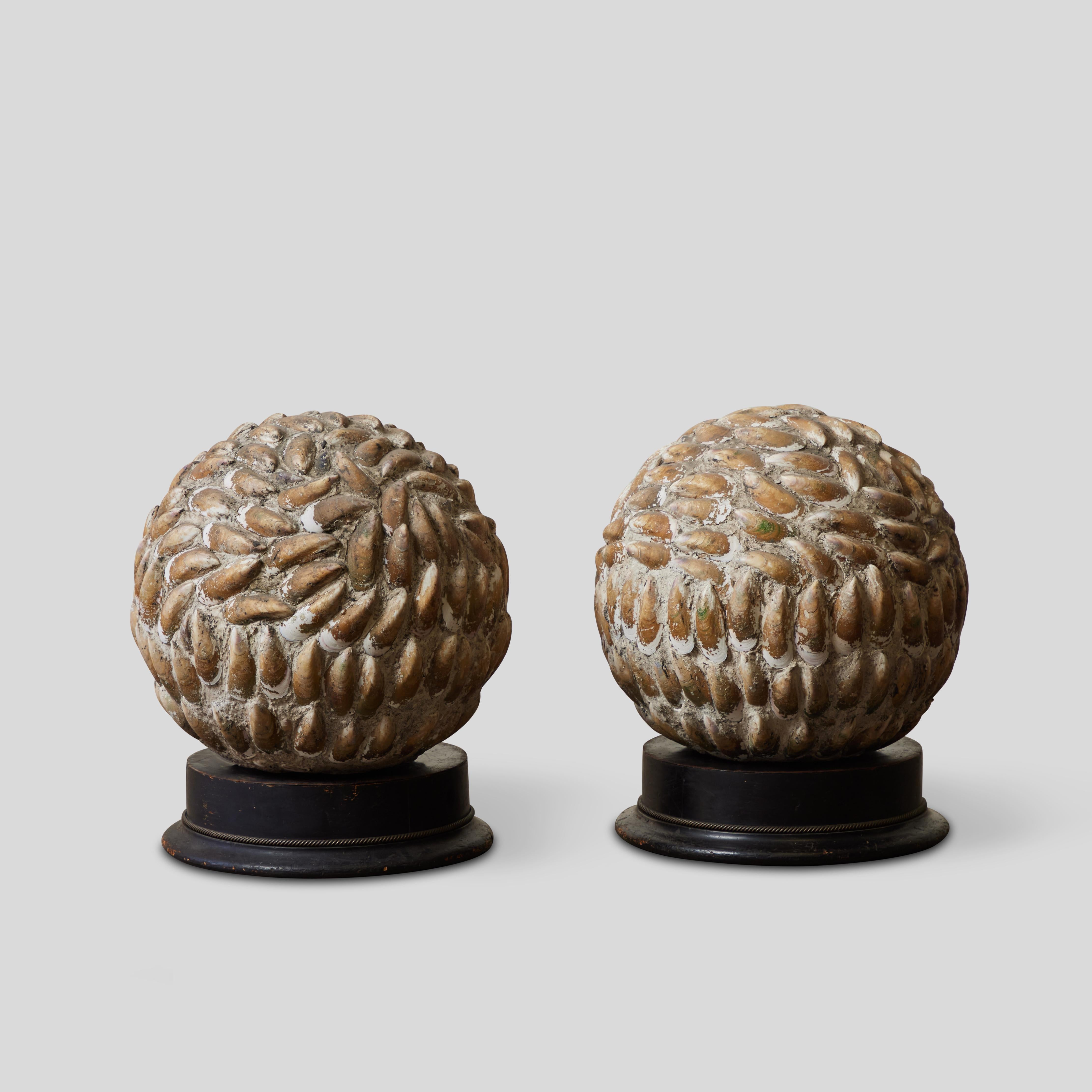 Pair of Mounted Spherical Shell Sculptures For Sale 1