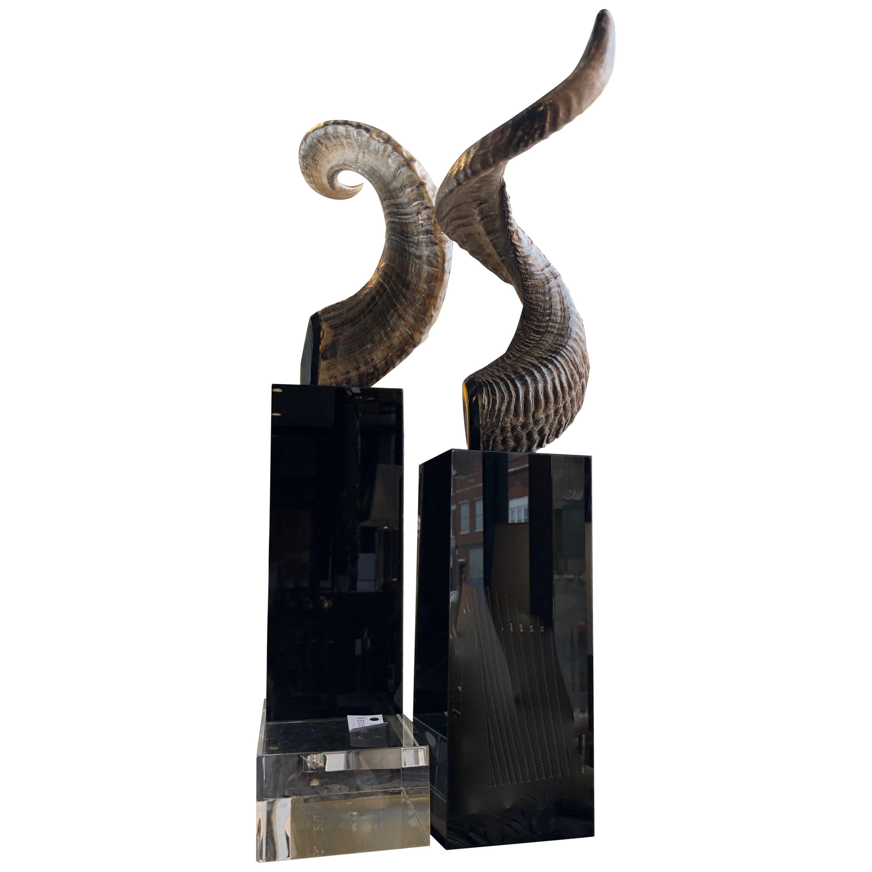Pair of Mounted Water Buffalo Horns