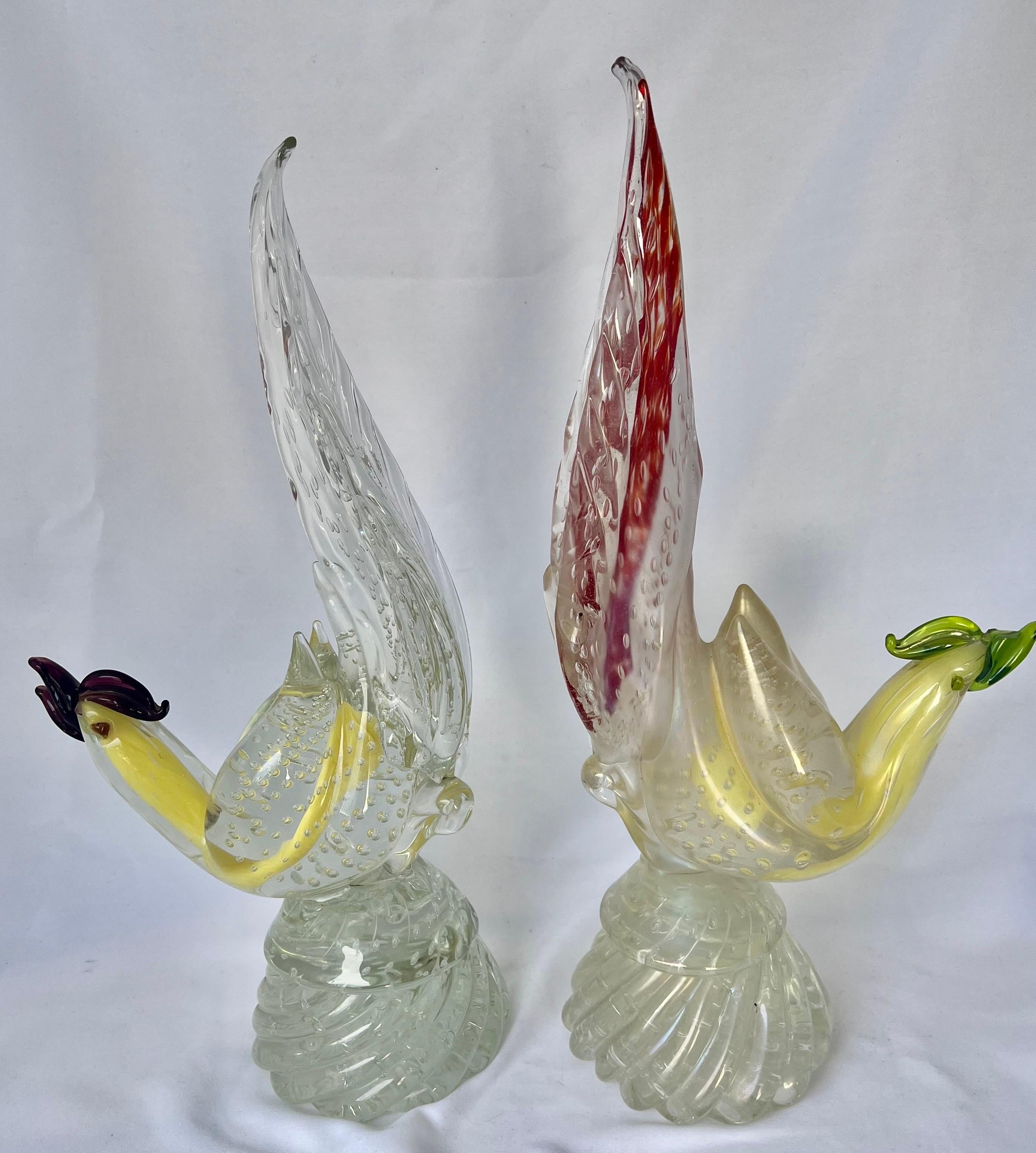 Pair of Murano Glass Birds-Mid 20th Century 3