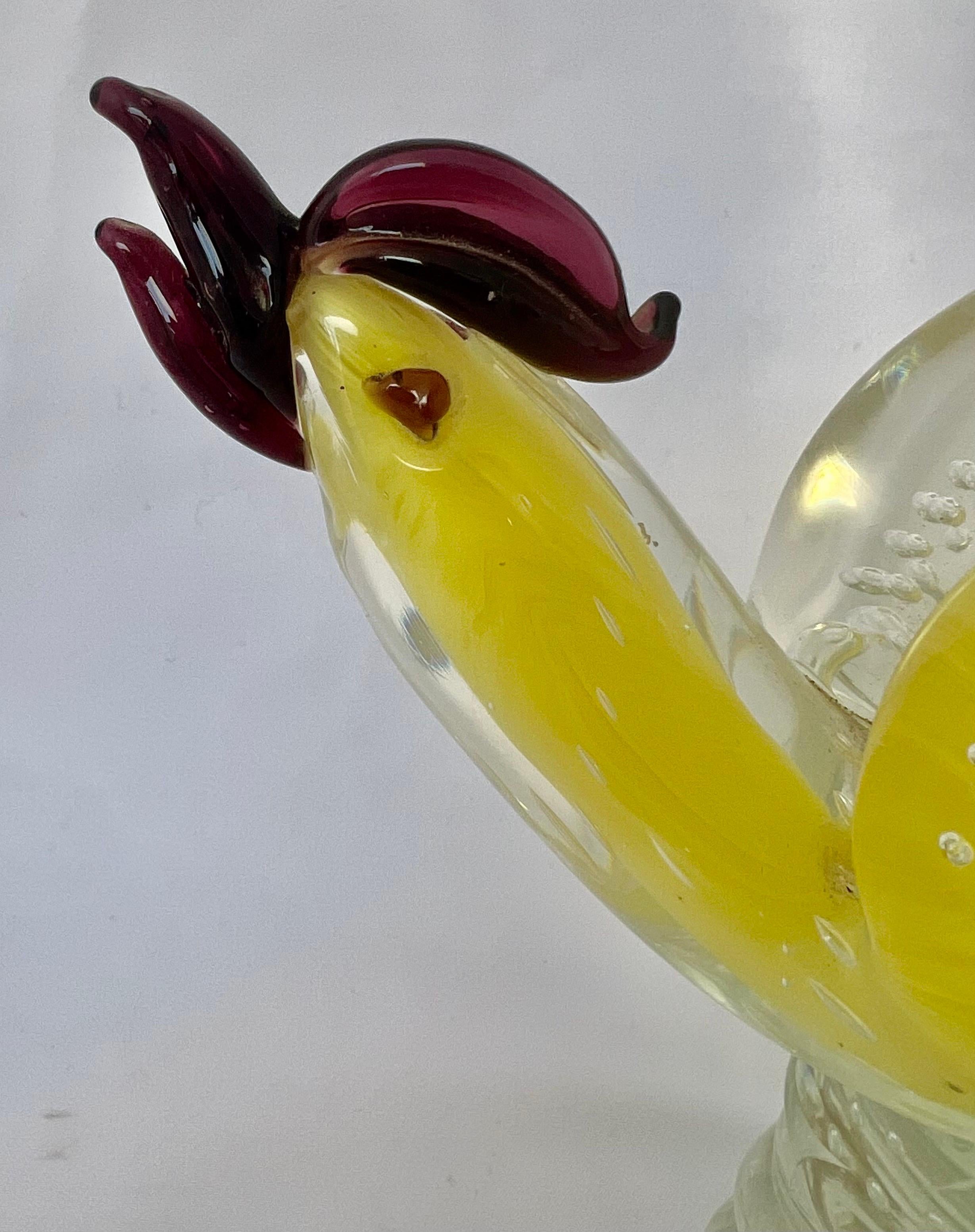 Pair of Murano Glass Birds-Mid 20th Century 5