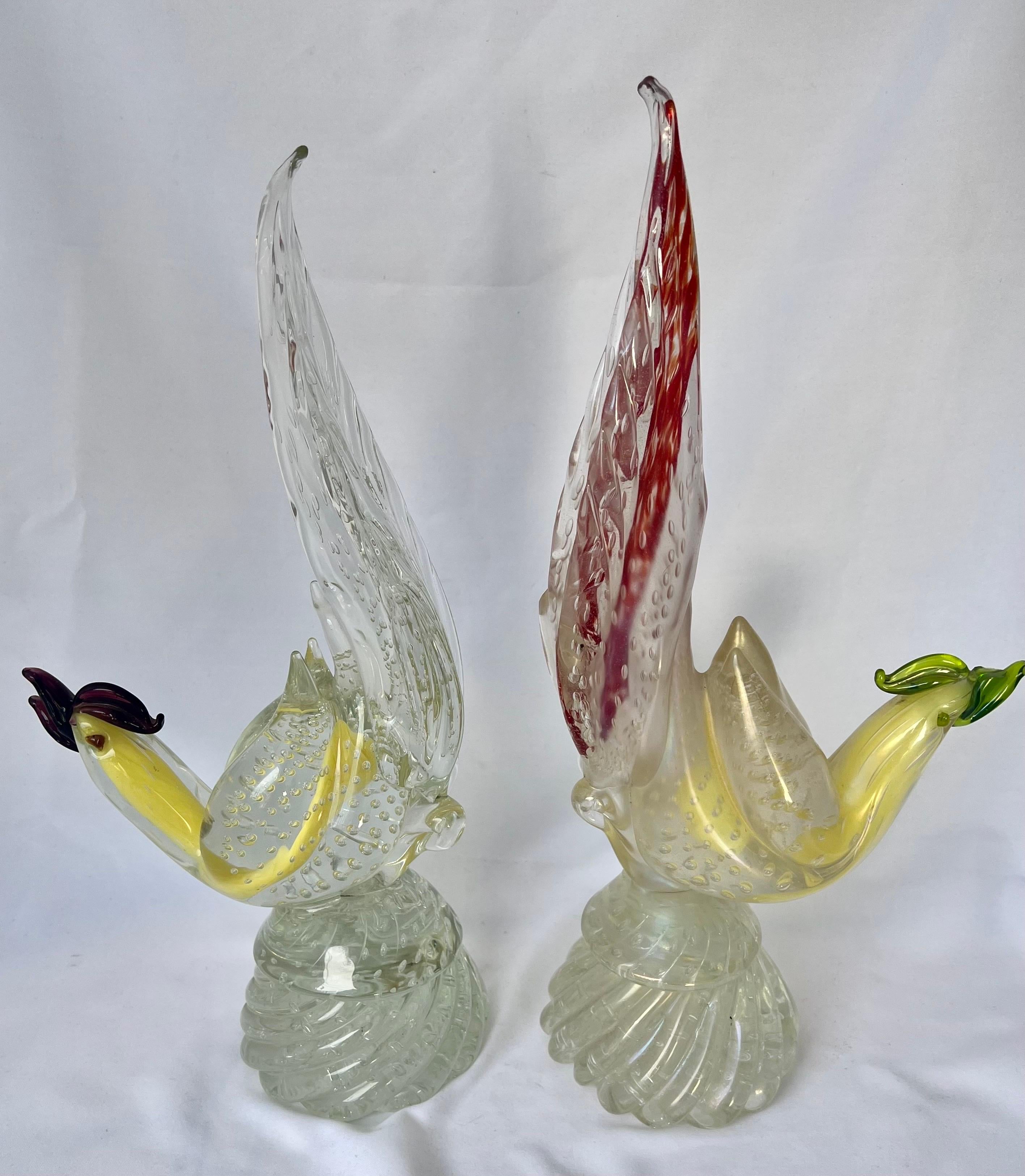 Pair of Murano Glass Birds-Mid 20th Century 11