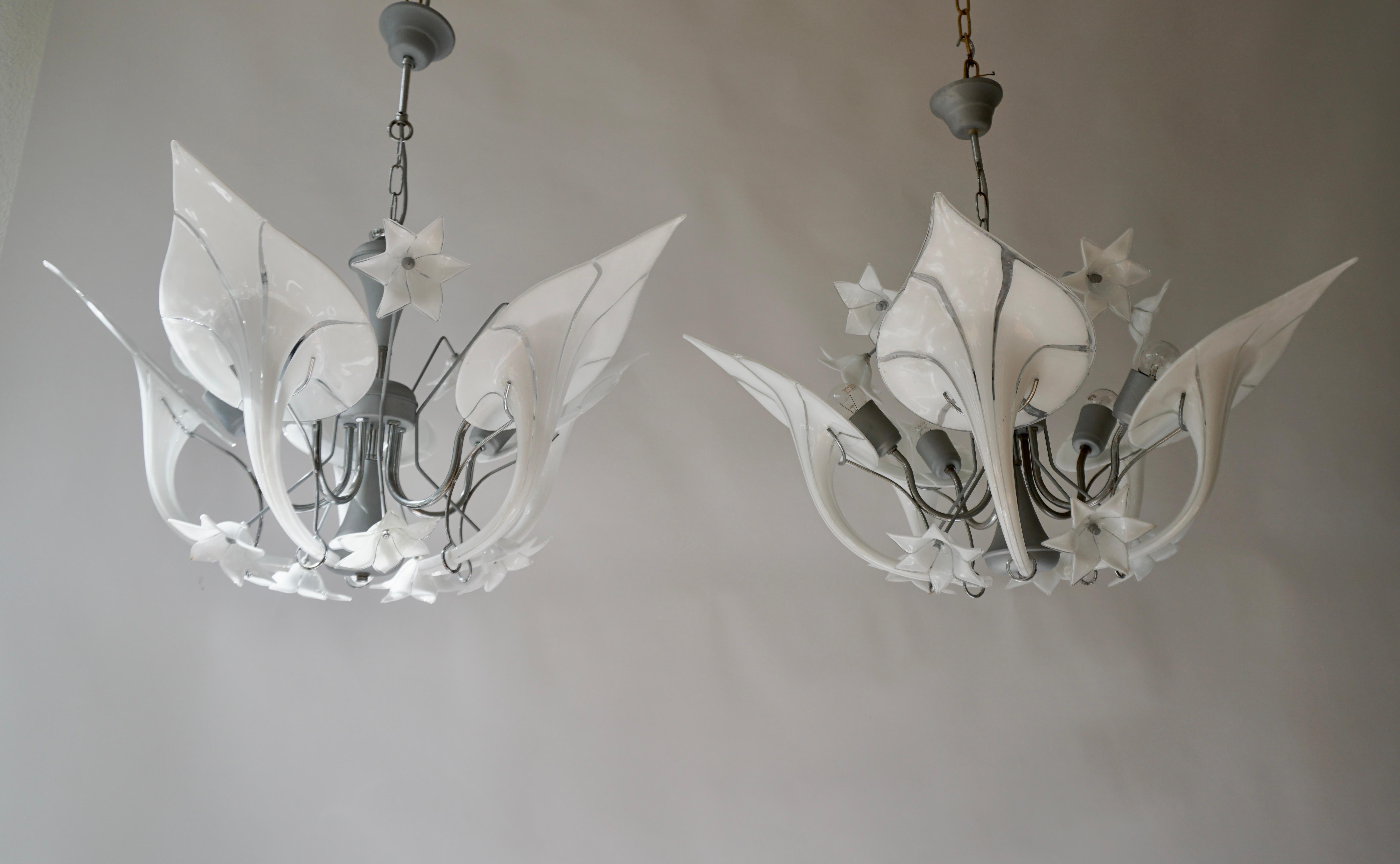 Beautiful large 1970s chandelier with white to transparent Murano glasses in the style of Franco Luce.Made in Italy. Five long, transparent white glasses, curved in the shape of a flower petal. Each glass is unique.That is why there are slight