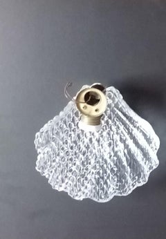 Pair of murano glass sconces vintage . Seashell 1950s