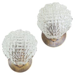 Pair of Murano Glass Shell Sconces