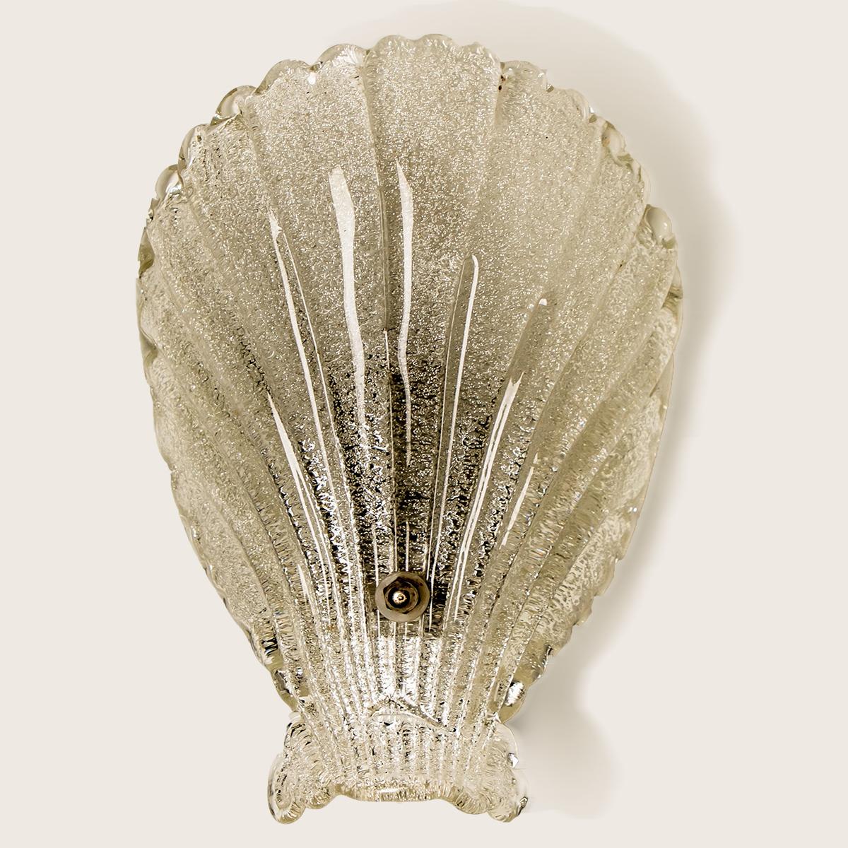 Pair of Murano Hand Blown Clear Glass Sea Shell Sconces, Italy, 1960 4