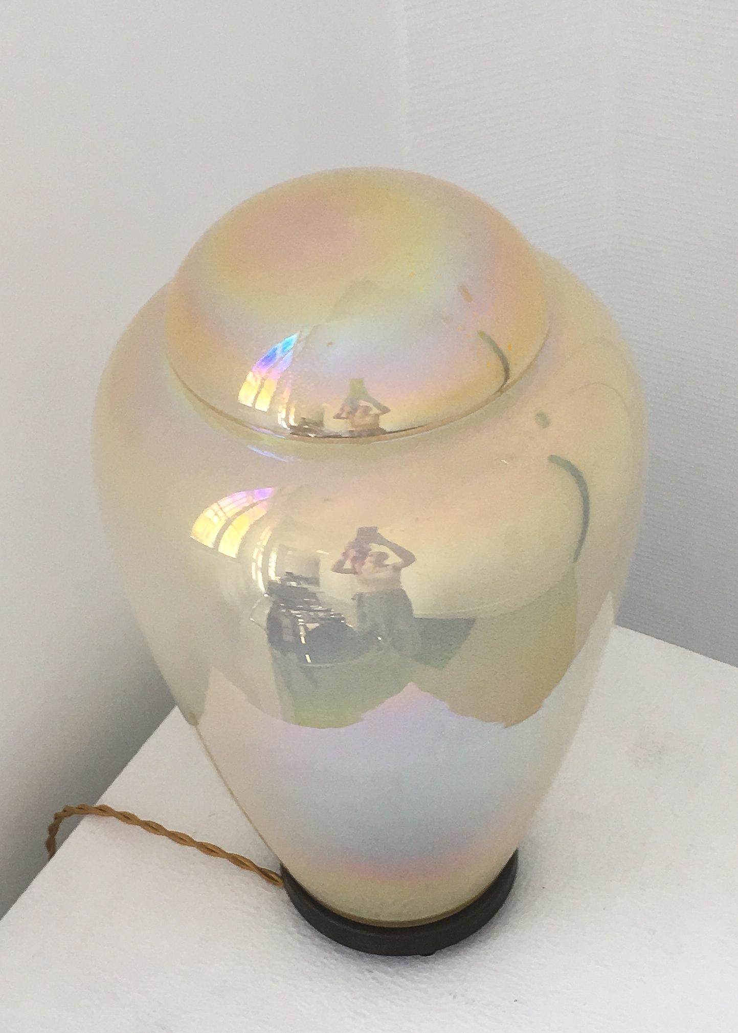 Pair of Murano Lamp Vase Jare 