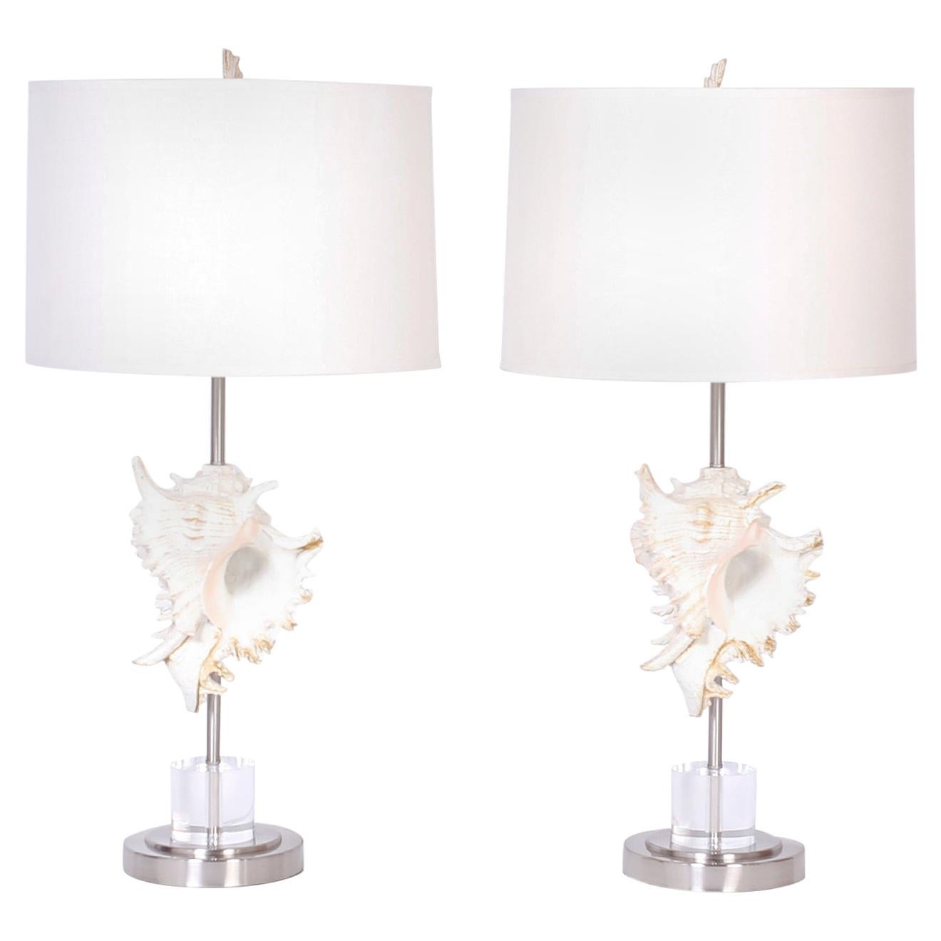 Pair of Murex Shell Table Lamps