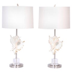 Pair of Murex Shell Table Lamps