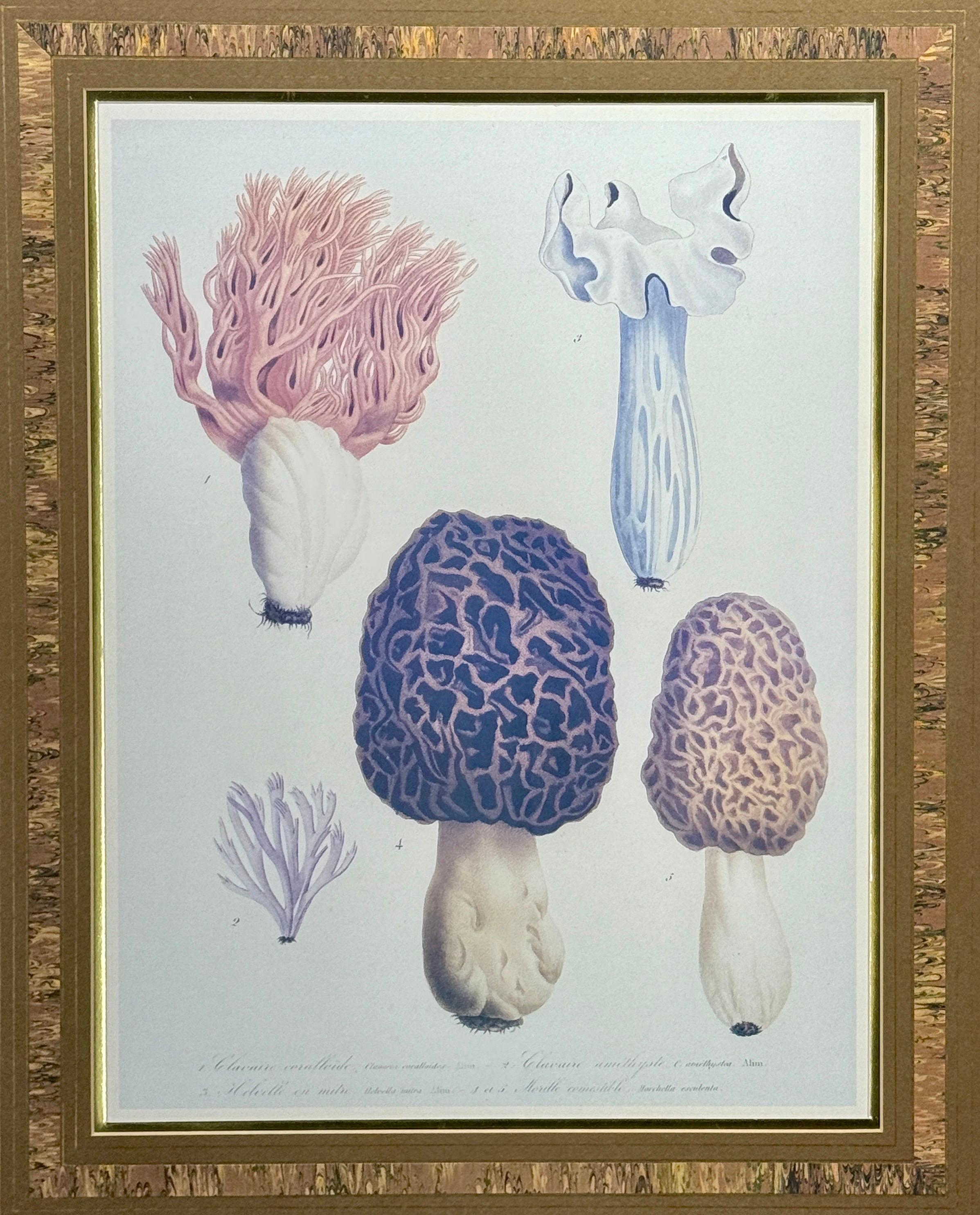 20ième siècle Paire d'impressions d'art taxonomie champignon dans un cadre en bois de ronce en vente