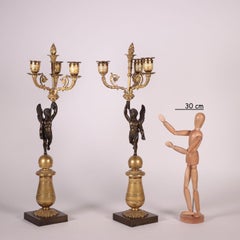Pair of Napoleon III Chandelier Bronze, France, 19th Century