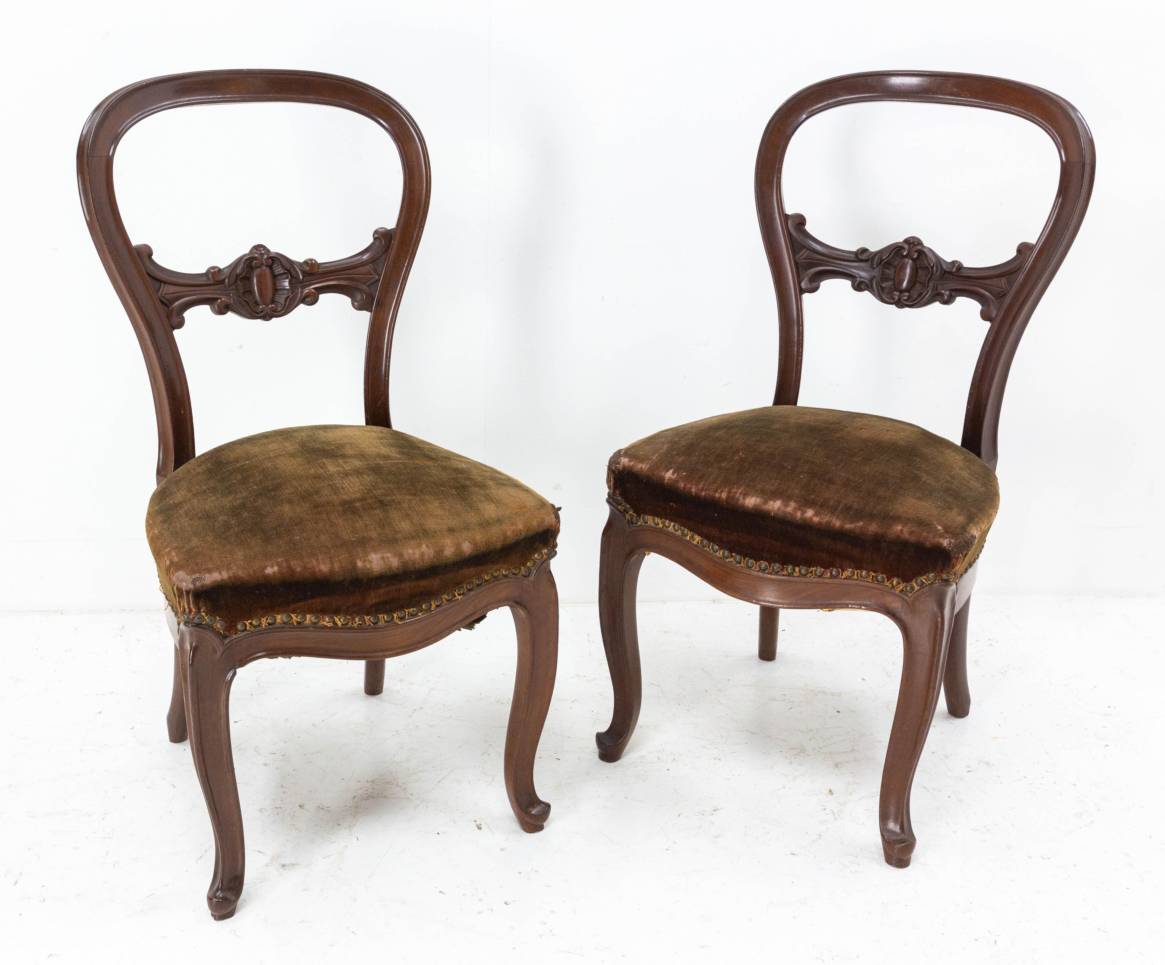 Pair of Napoleon III Exotic Wood and Velvet Chairs French, Late 19th Century For Sale 5