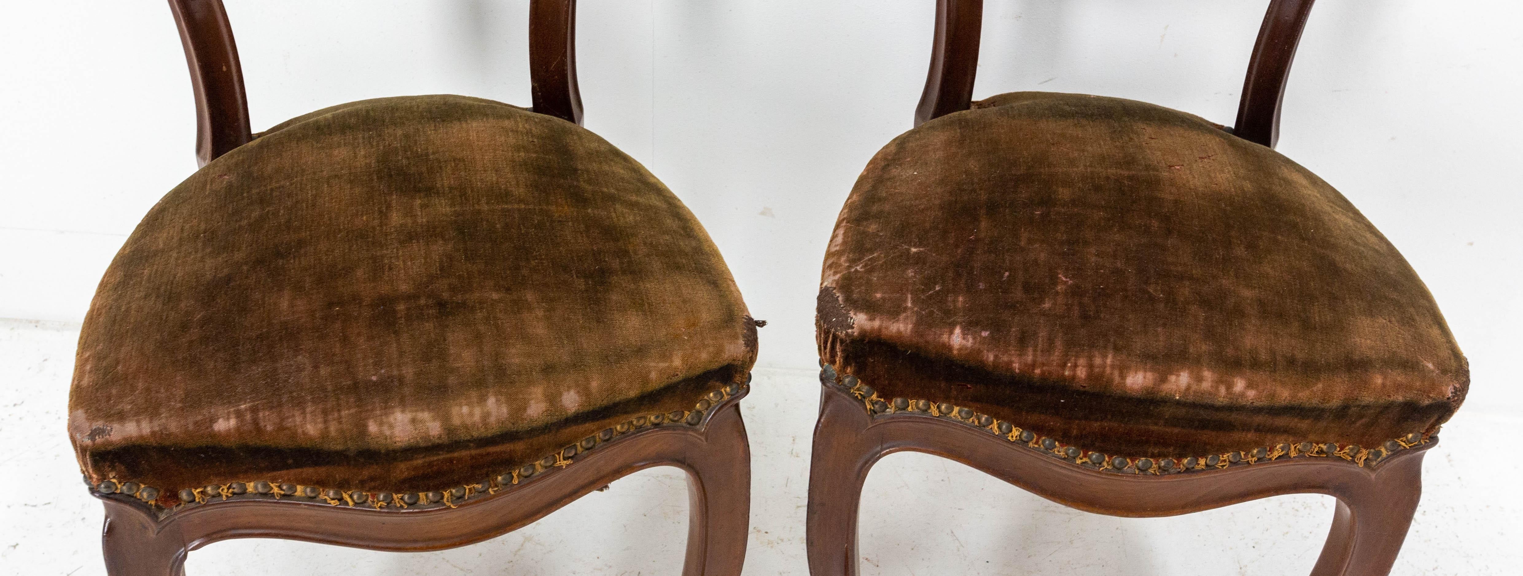 Pair of Napoleon III Exotic Wood and Velvet Chairs French, Late 19th Century For Sale 6