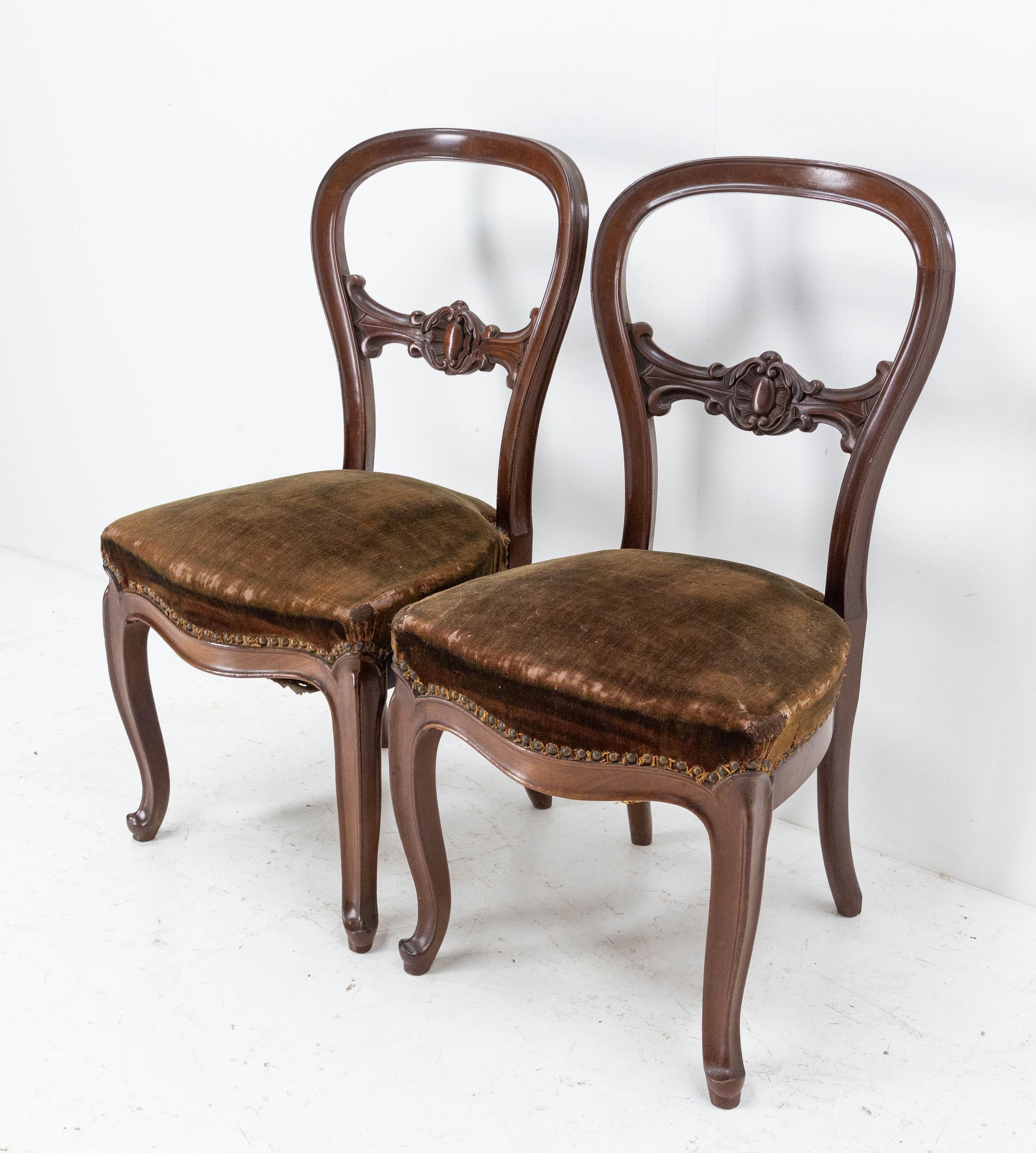 Paar exotische Stühle aus Holz und Samt aus der Zeit Napoleons III. Französisch, spätes 19. Jahrhundert (Napoleon III.)