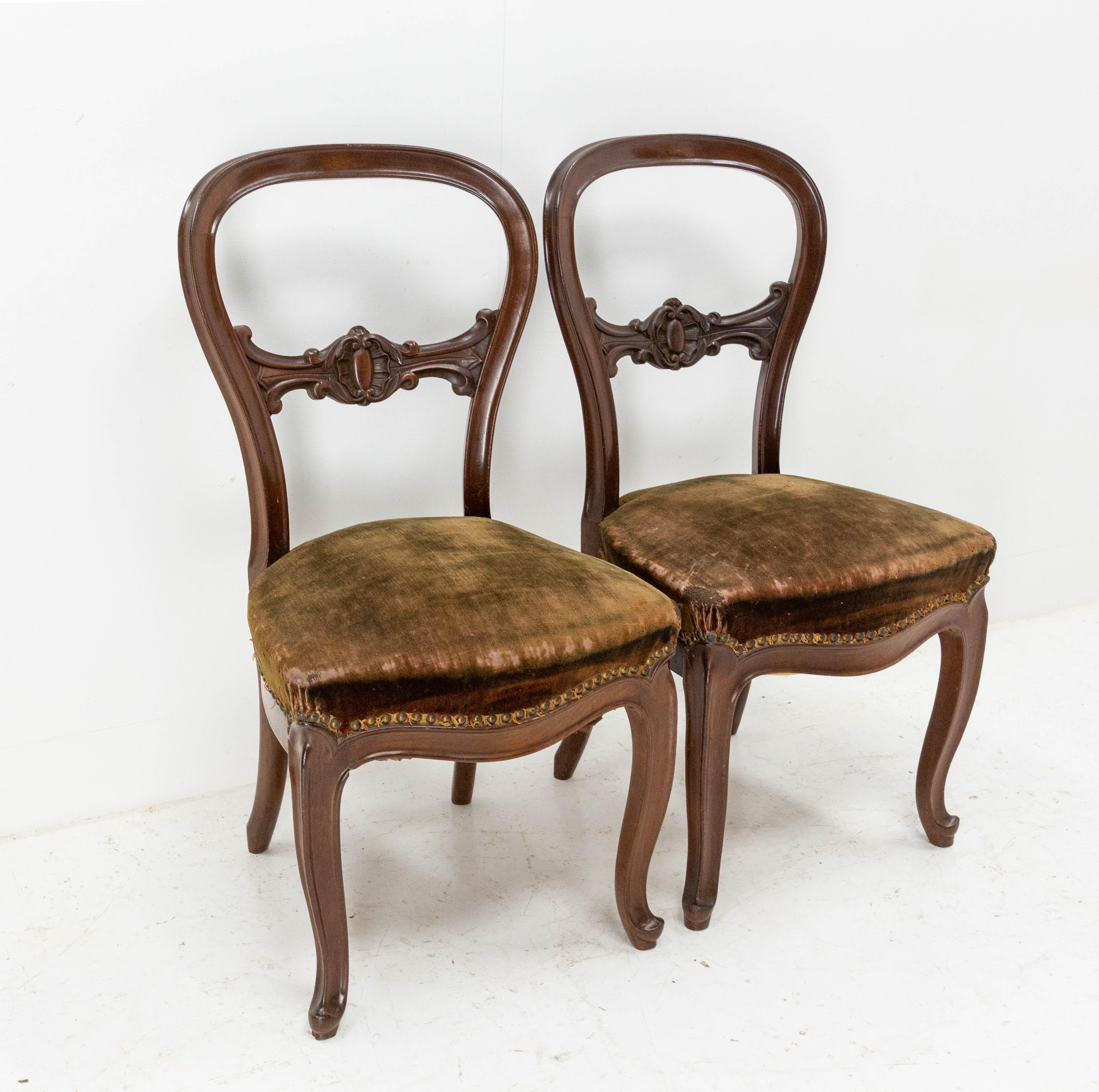 Pair of Napoleon III Exotic Wood and Velvet Chairs French, Late 19th Century In Good Condition For Sale In Labrit, Landes