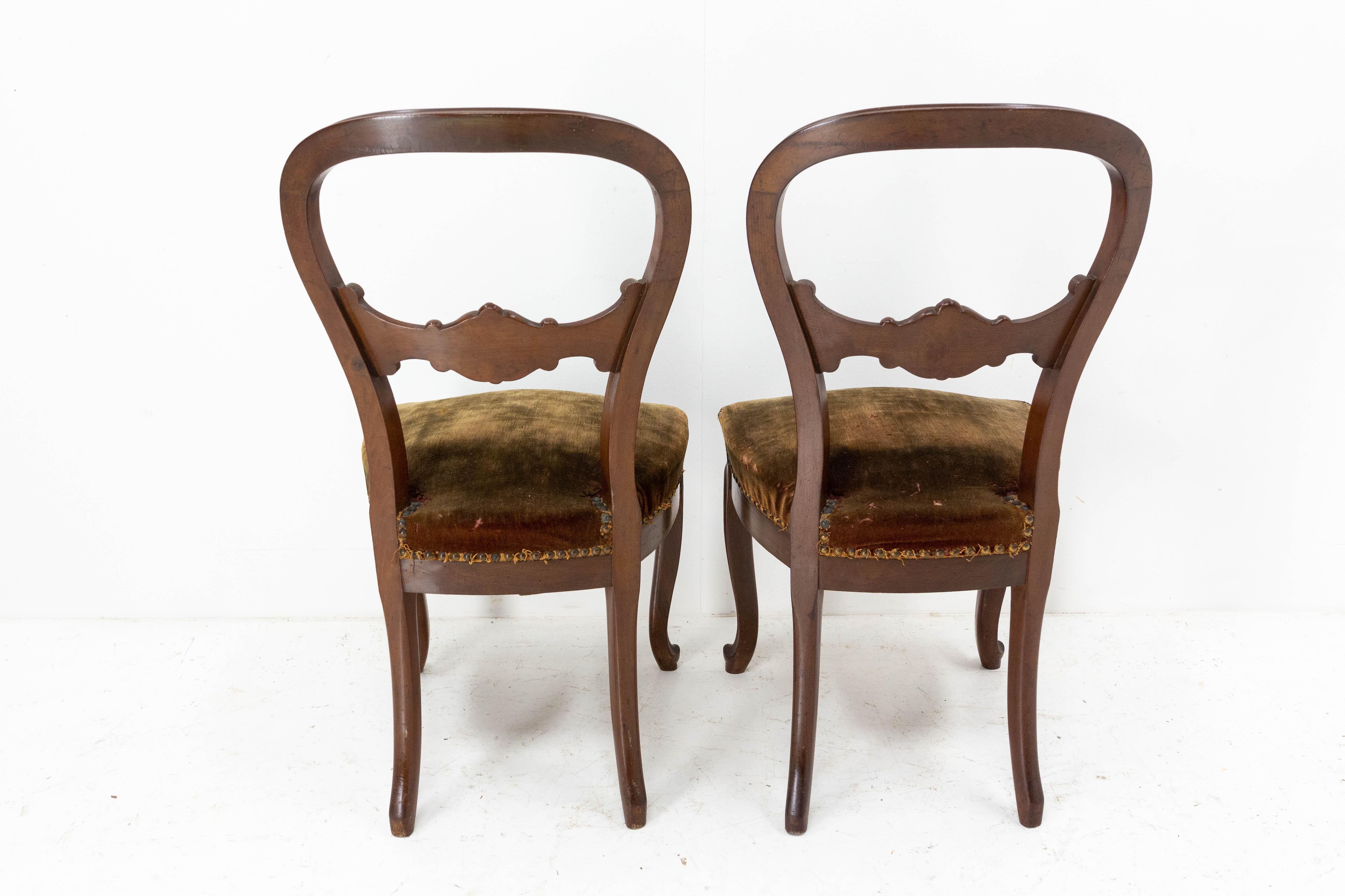 Paar exotische Stühle aus Holz und Samt aus der Zeit Napoleons III. Französisch, spätes 19. Jahrhundert (Spätes 19. Jahrhundert)