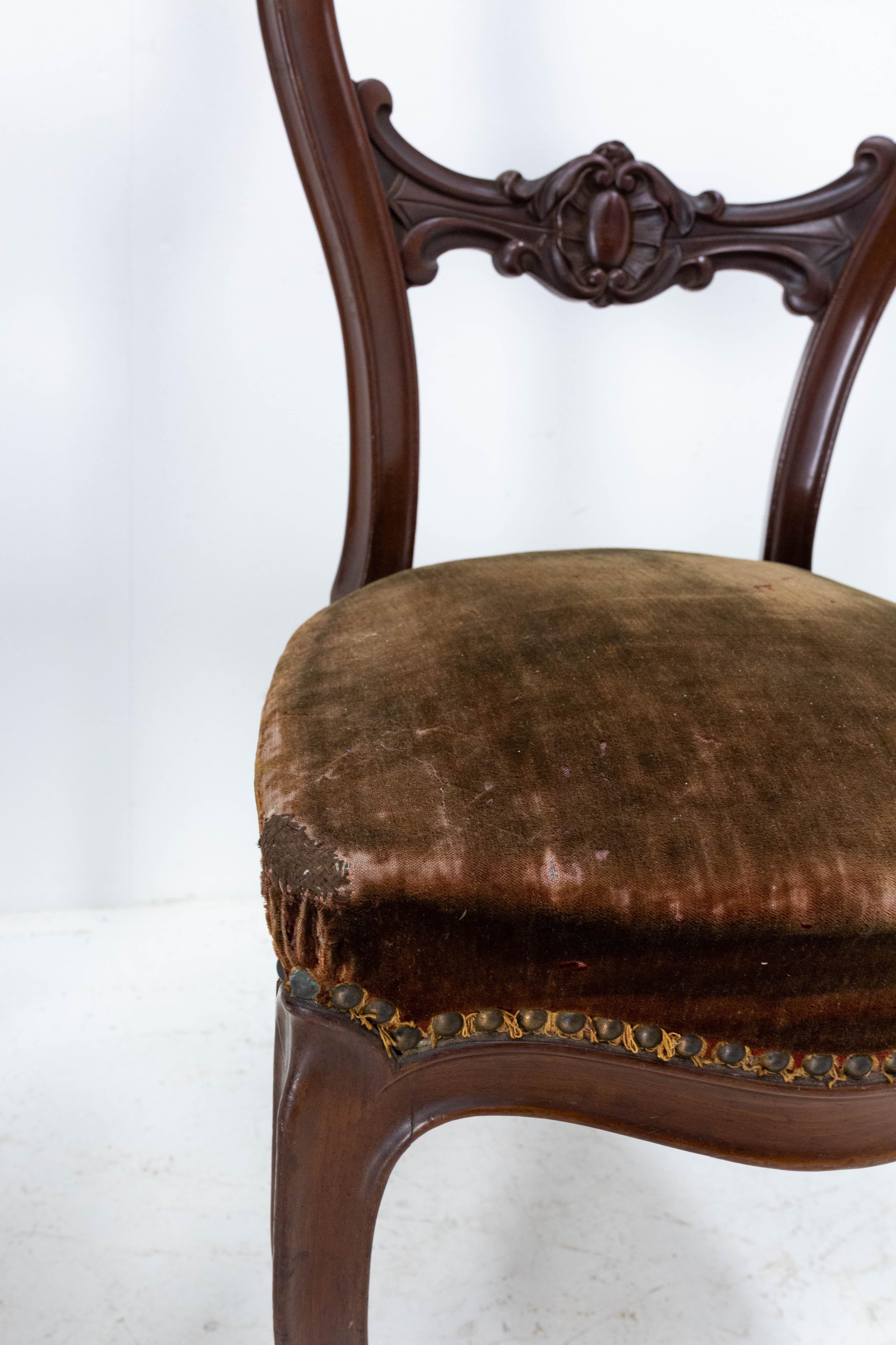 Pair of Napoleon III Exotic Wood and Velvet Chairs French, Late 19th Century For Sale 2
