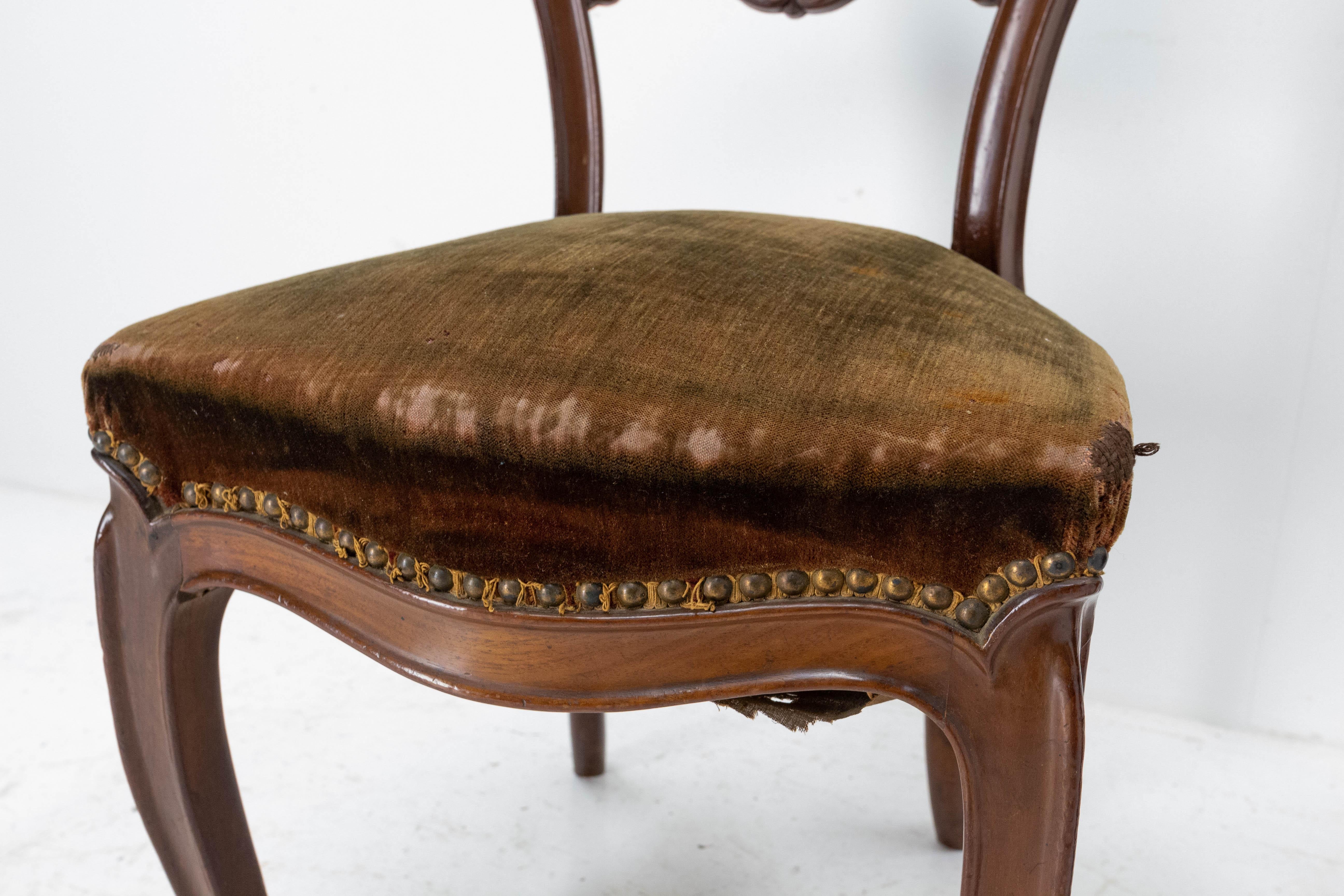Paar exotische Stühle aus Holz und Samt aus der Zeit Napoleons III. Französisch, spätes 19. Jahrhundert 2