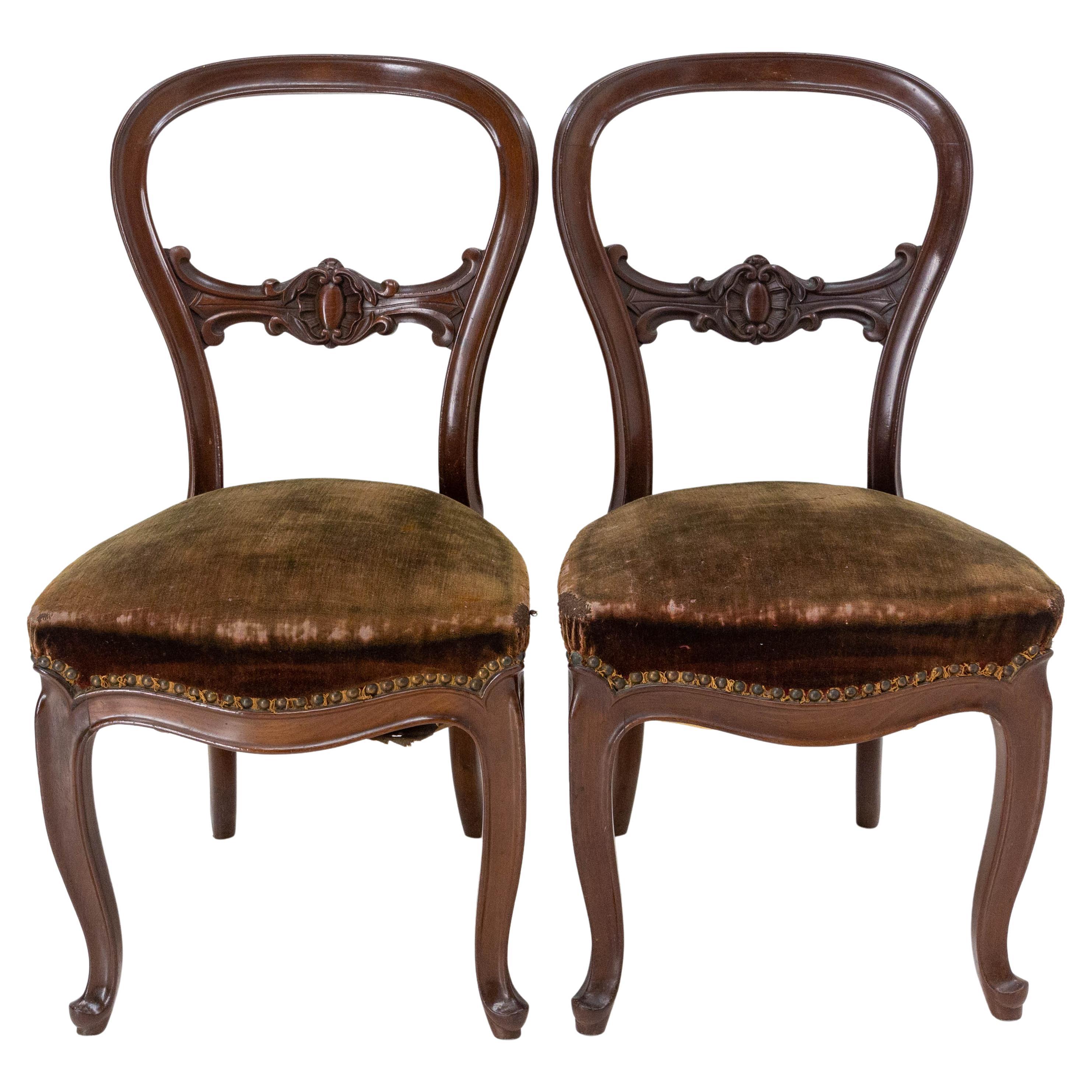 Paire de chaises Napoléon III exotiques en bois et velours français, fin du 19ème siècle