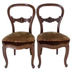 Antique Pair of Napoleon III Exotic Wood and Velvet Chairs French, Late 19th Century