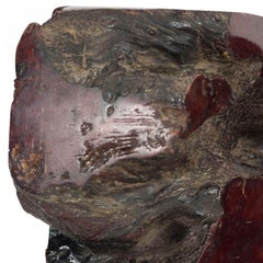 Pair of Natural Burl Wood Bookends