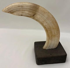 Pair of Antique Natural Hippopotamus Tooth Bookends, Mounted Sculptural Specimen