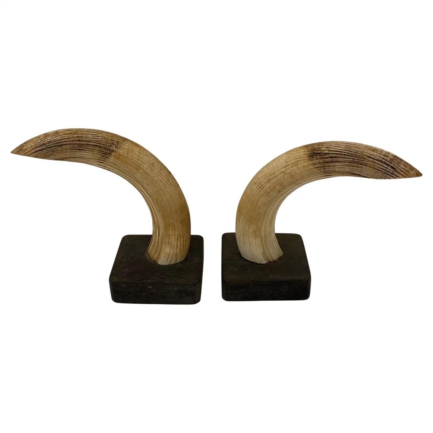 Pair of Bookends Natural Hippopotamus Teeth Mounted, Turn-of-the-Century In Good Condition For Sale In Miami, FL