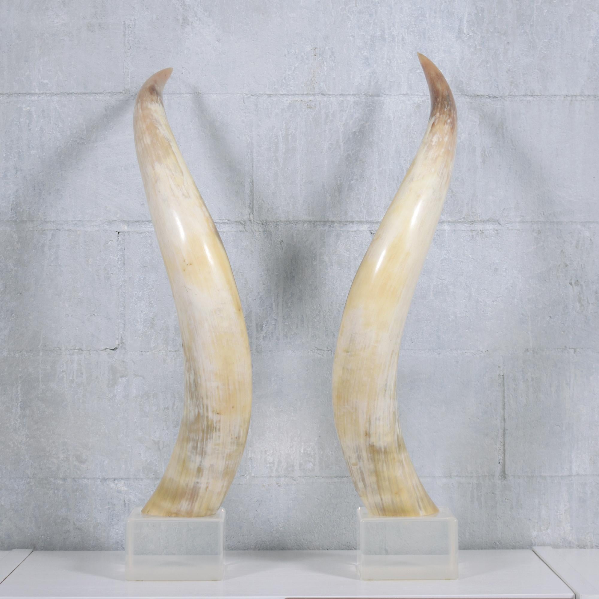 Pair of Natural Longhorn Steer on Lucite Bases In Good Condition For Sale In Los Angeles, CA