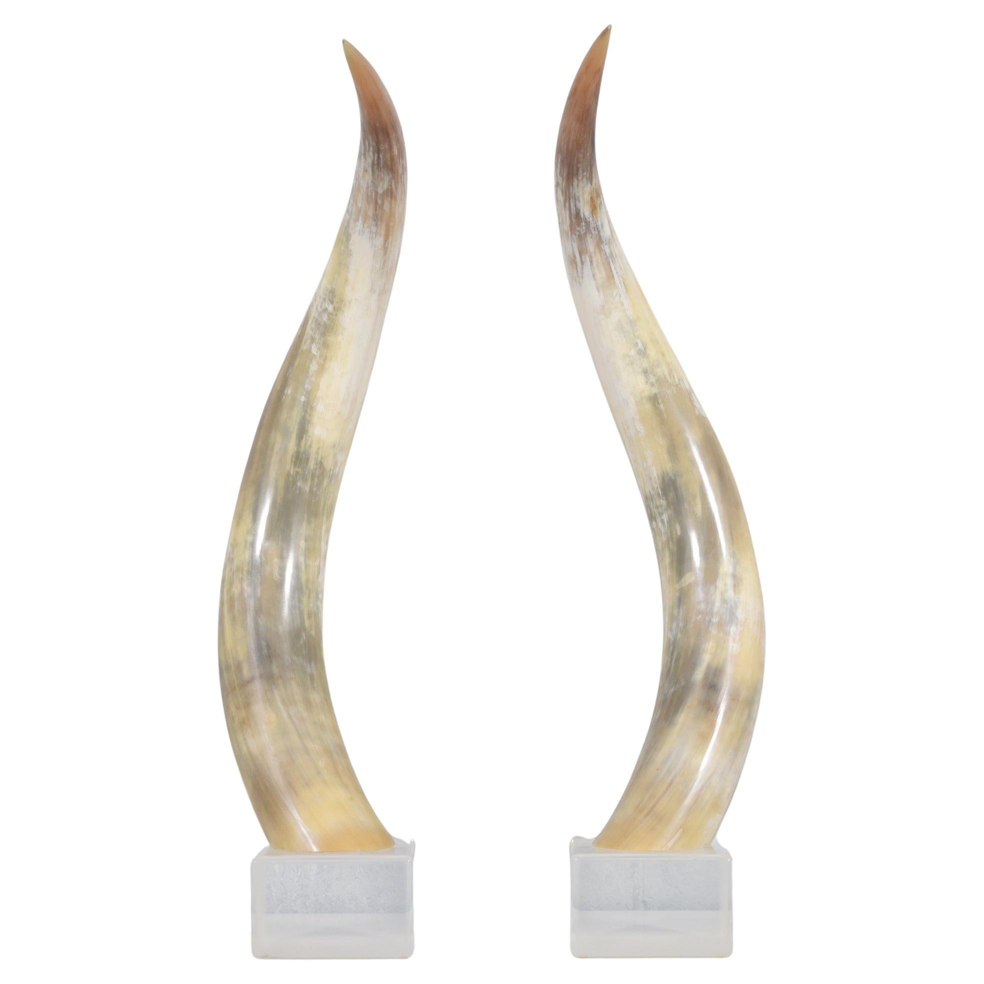 Pair of Natural Longhorn Steer on Lucite Bases For Sale