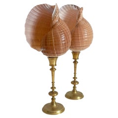 Pair of Natural Sea Shells on Mid-Century Swedish Skultuna Brass Candlesticks