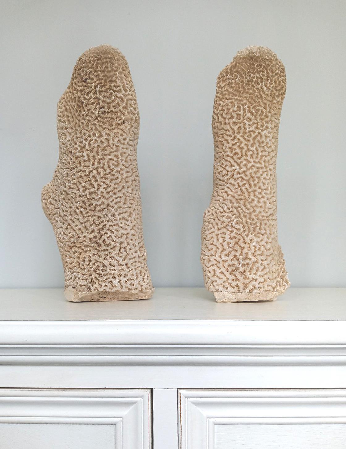A unique pair of natural standing brain coral obelisks. The bases smoothed for display. The largest of the two specimen is approximately 29 x 11.5 cm.