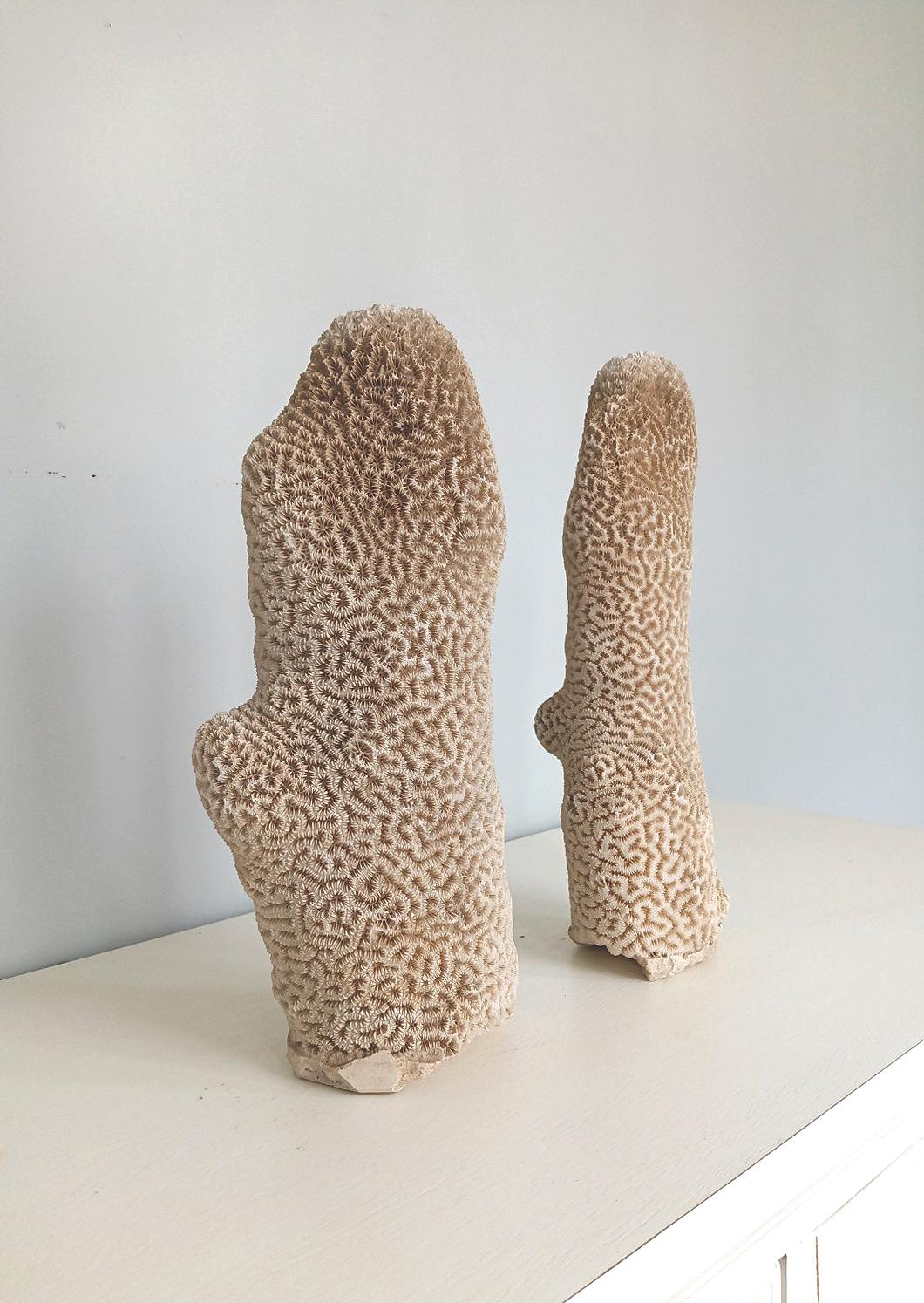 Organic Modern Pair of Natural Standing Brain Coral Obelisks For Sale