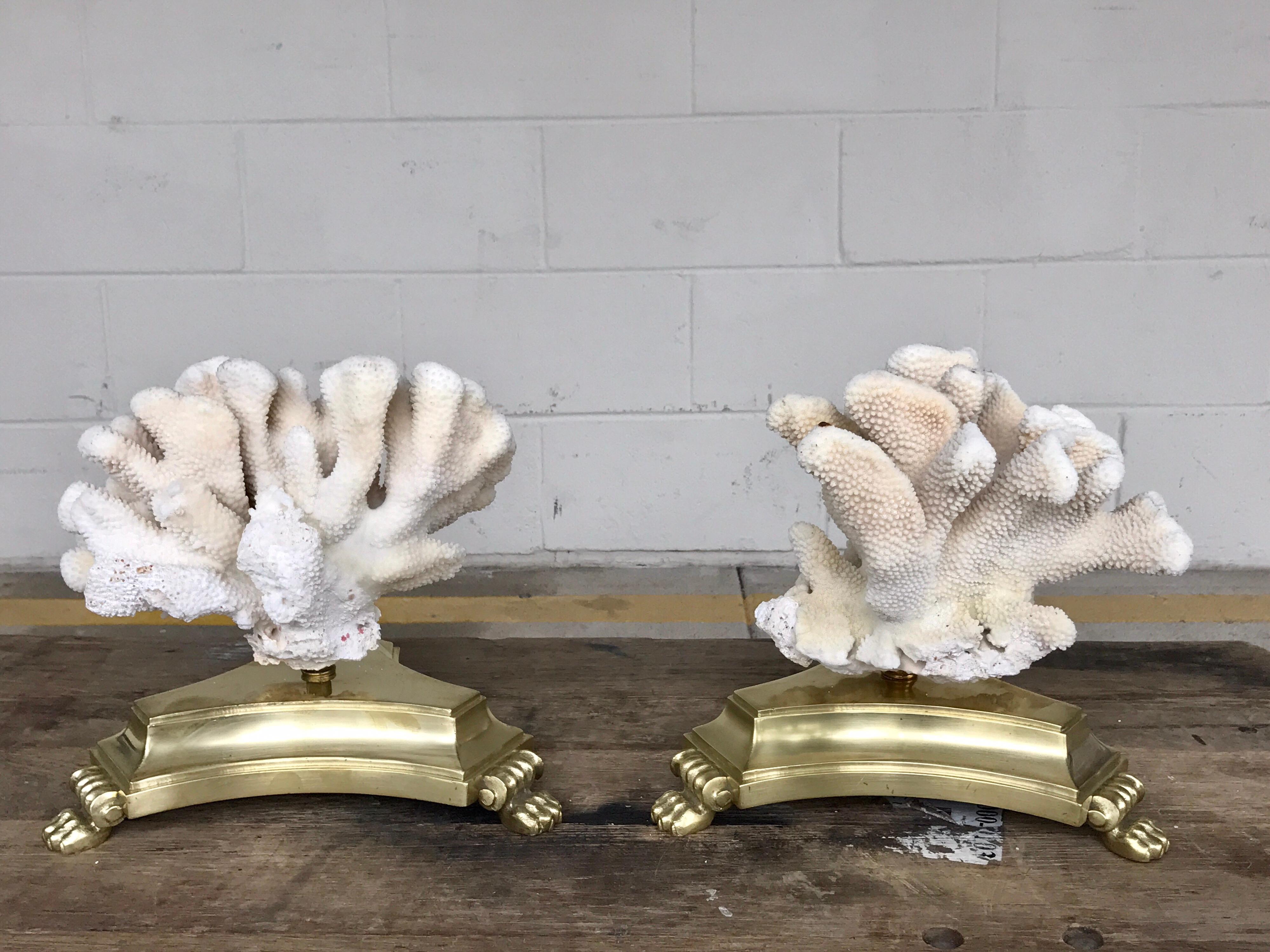 Pair of natural white specimen coral on antique Italian bronze bases, each one raised on triangular paw footed bases. They separate for shipping.
One natural white specimen coral is 12