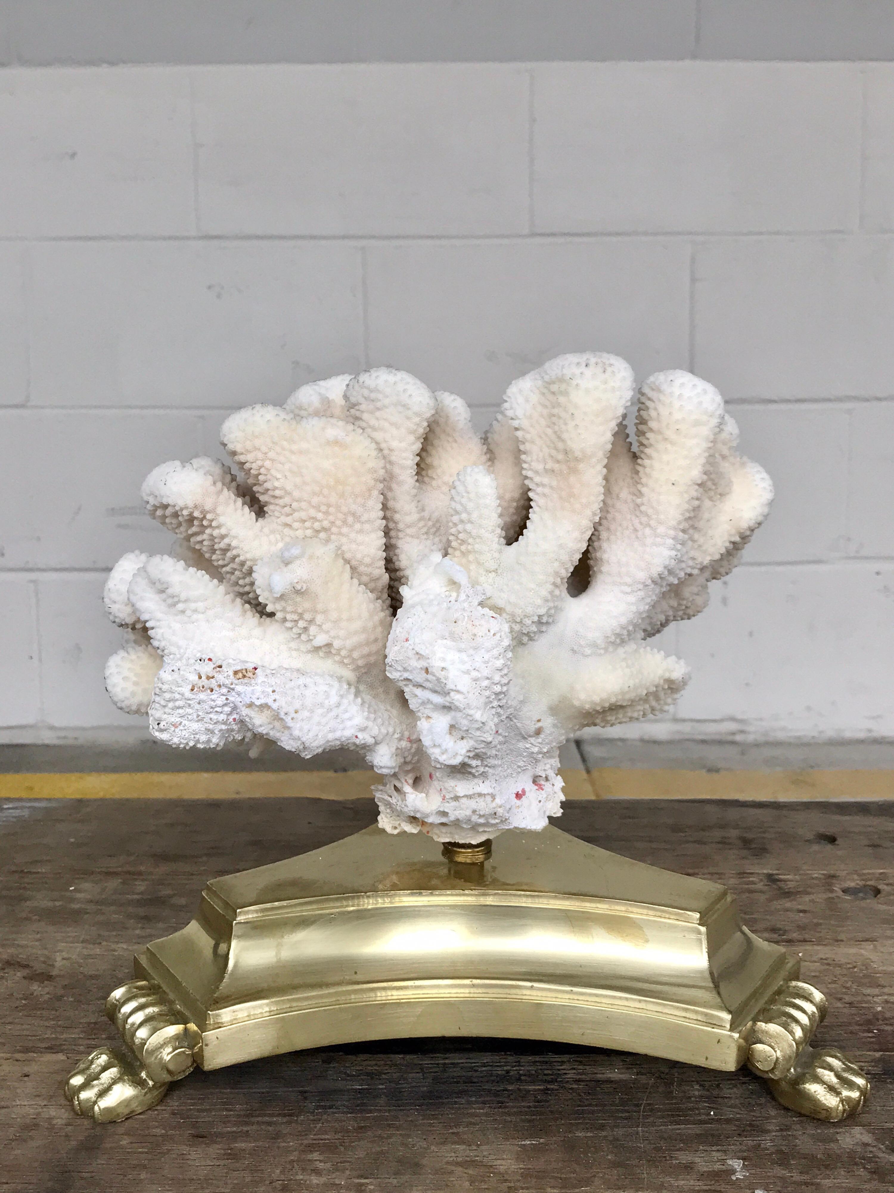 Neoclassical Pair of Natural White Specimen Coral on Antique Italian Bronze Bases