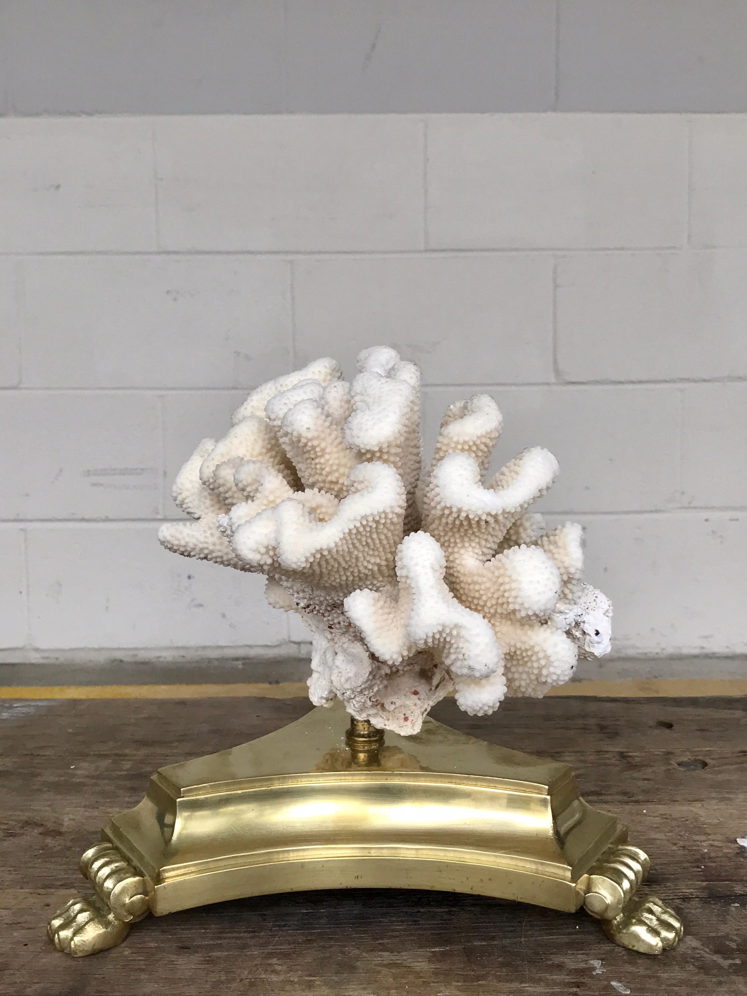 Cast Pair of Natural White Specimen Coral on Antique Italian Bronze Bases