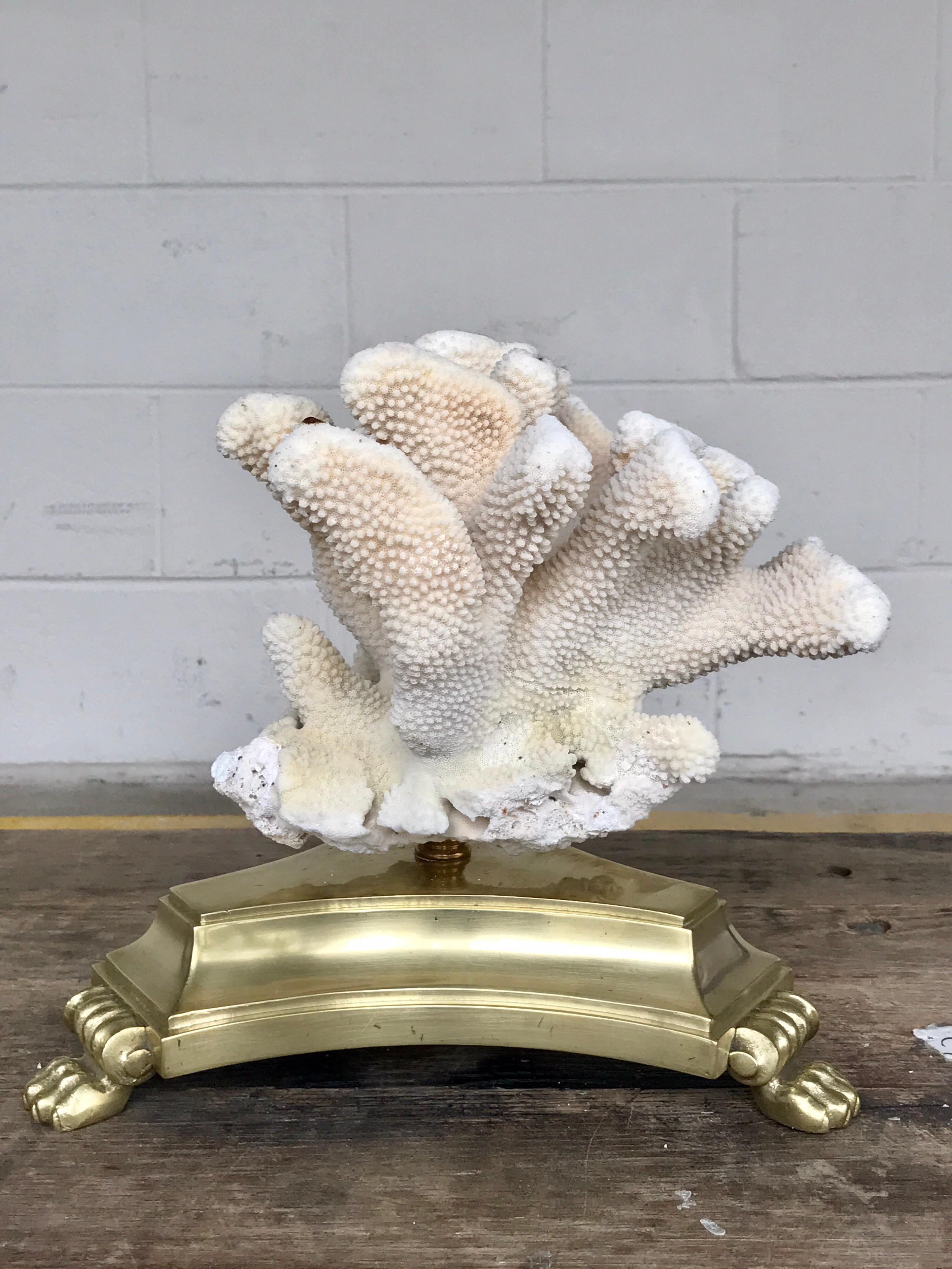 Pair of Natural White Specimen Coral on Antique Italian Bronze Bases 1