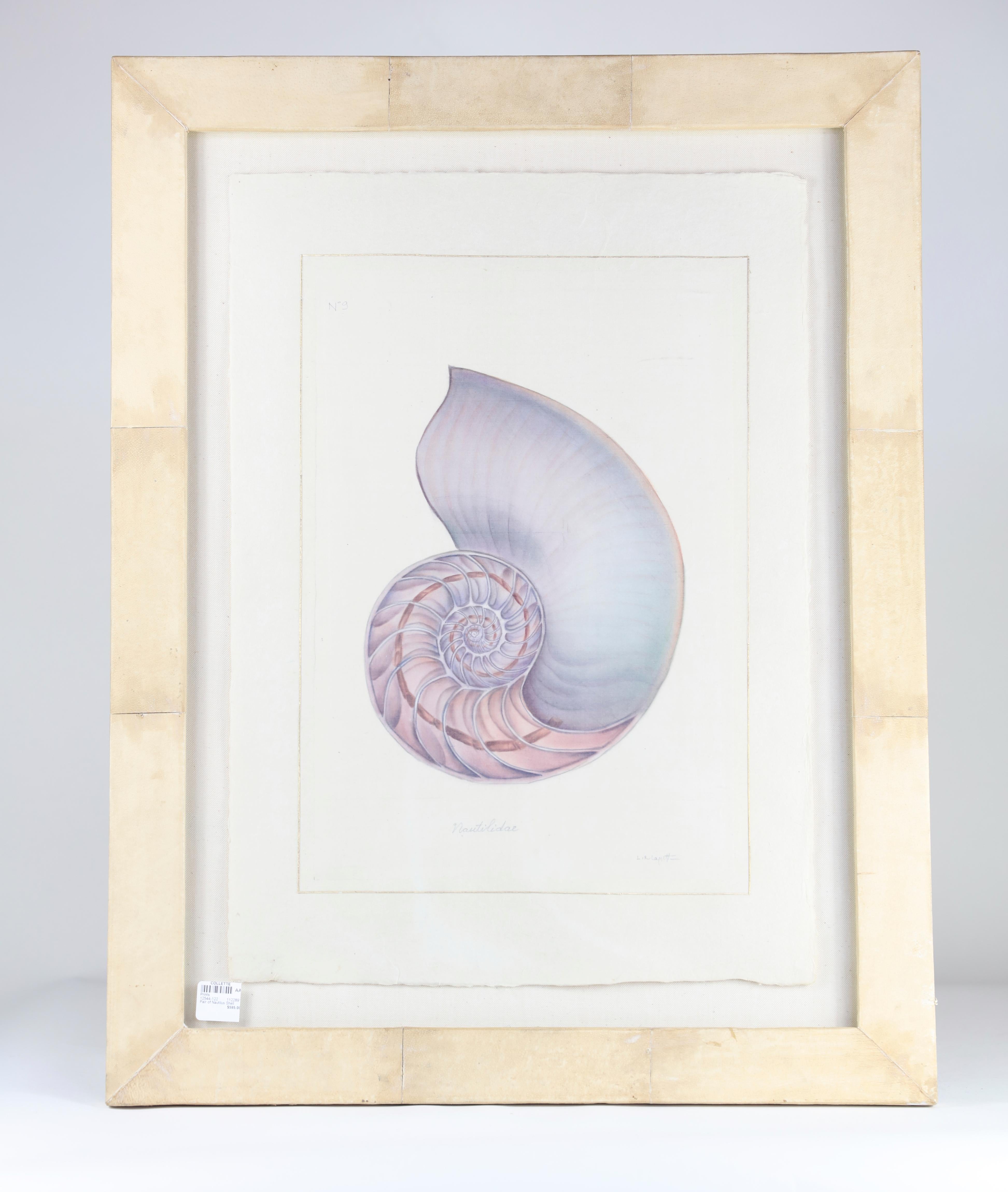 Pair of Nautilus Shell Prints 4