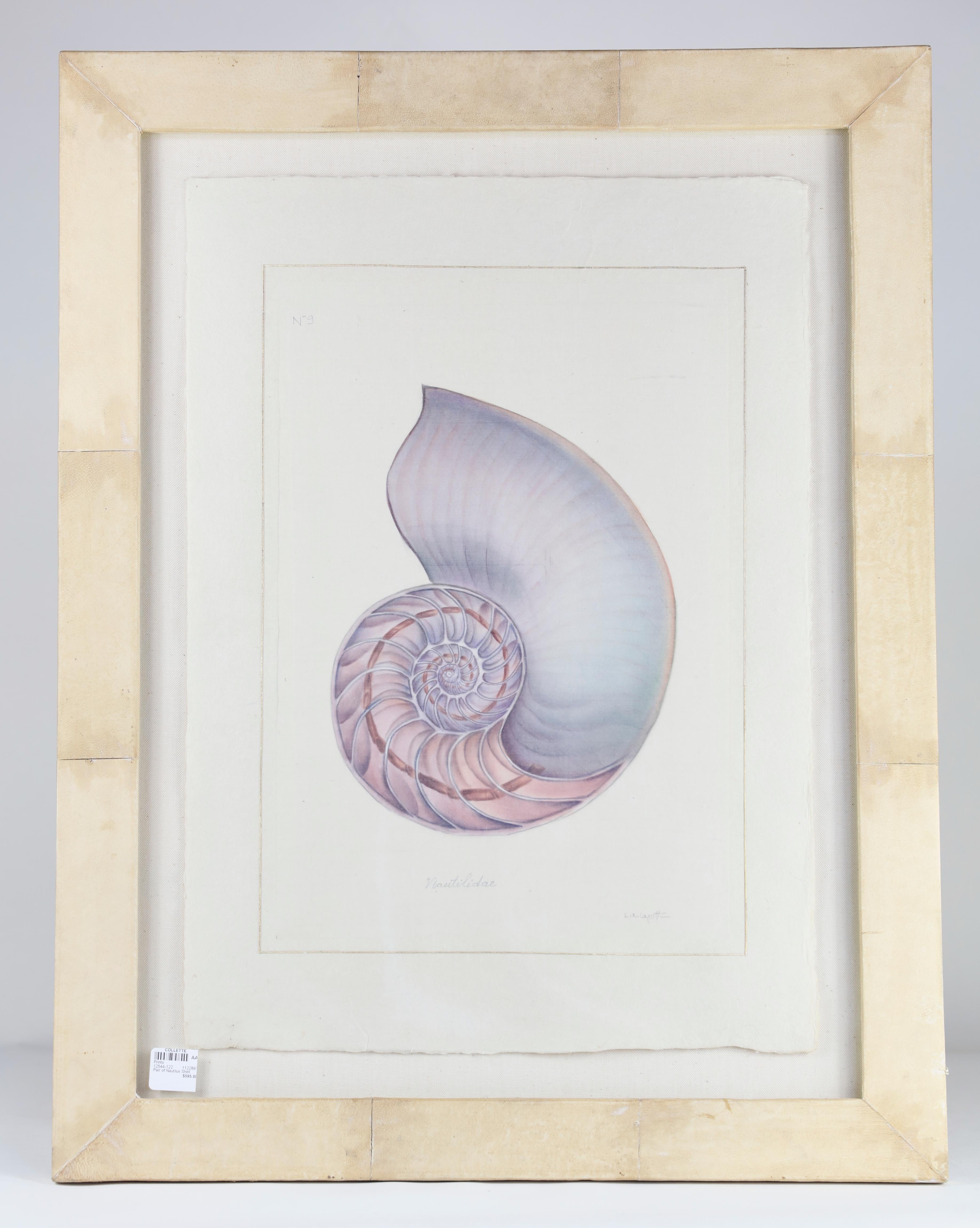 Pair of Nautilus Shell Prints 5