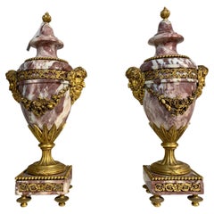 Pair of Neoclassic Paris Marble Vase