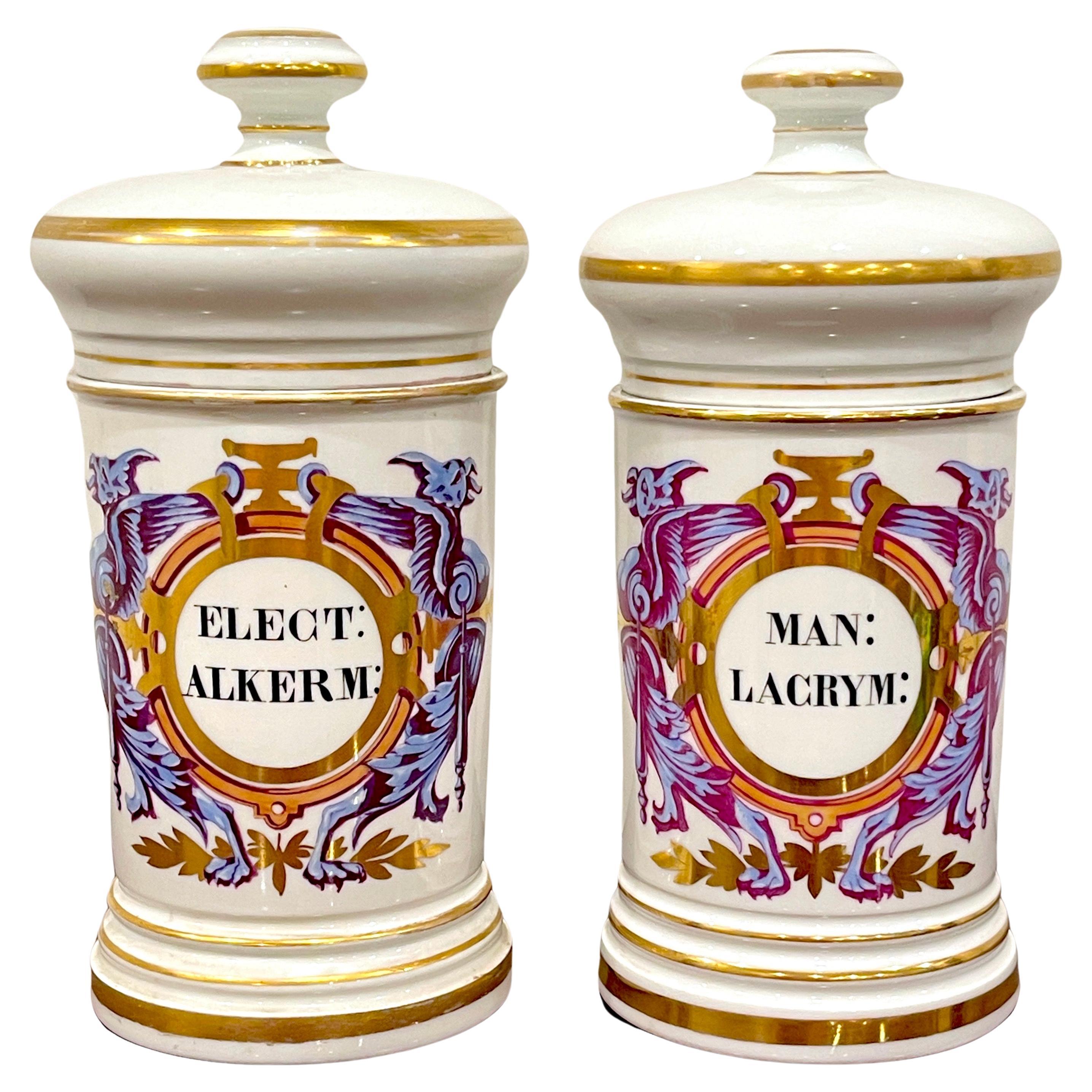 Pair of Neoclassical Apothecary Jars by Maison A Collin Porcelaines & Cristaux For Sale