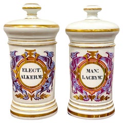 Pair of Neoclassical Apothecary Jars by Maison A Collin Porcelaines & Cristaux