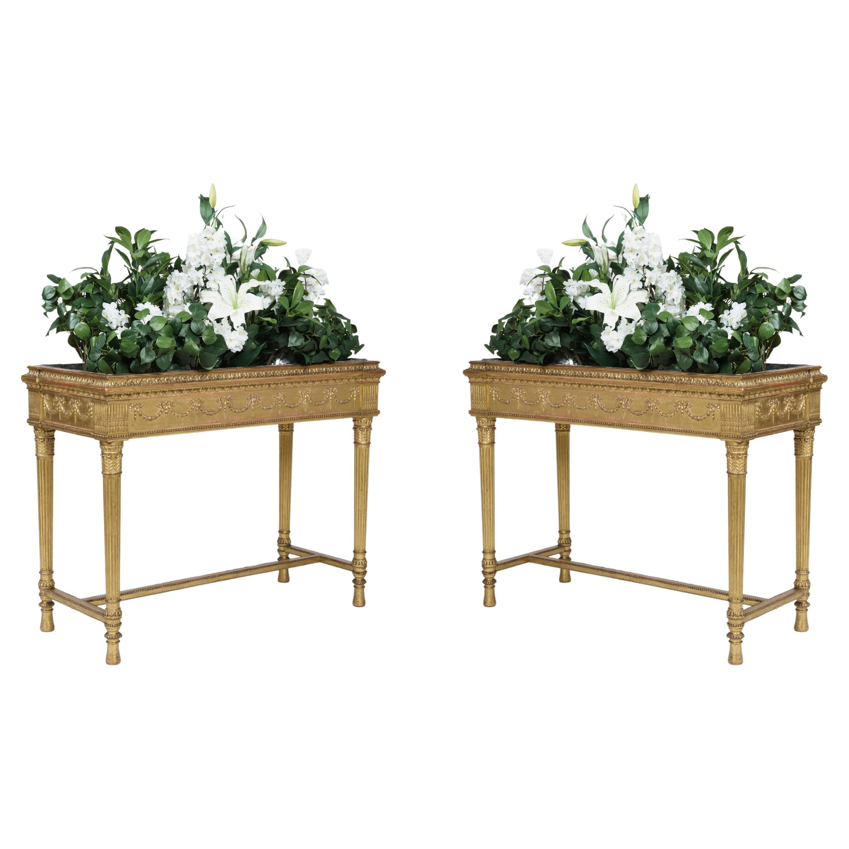 Pair of Neoclassical Carved and Gilded Planters