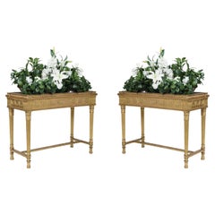 Pair of Neoclassical Carved and Gilded Planters