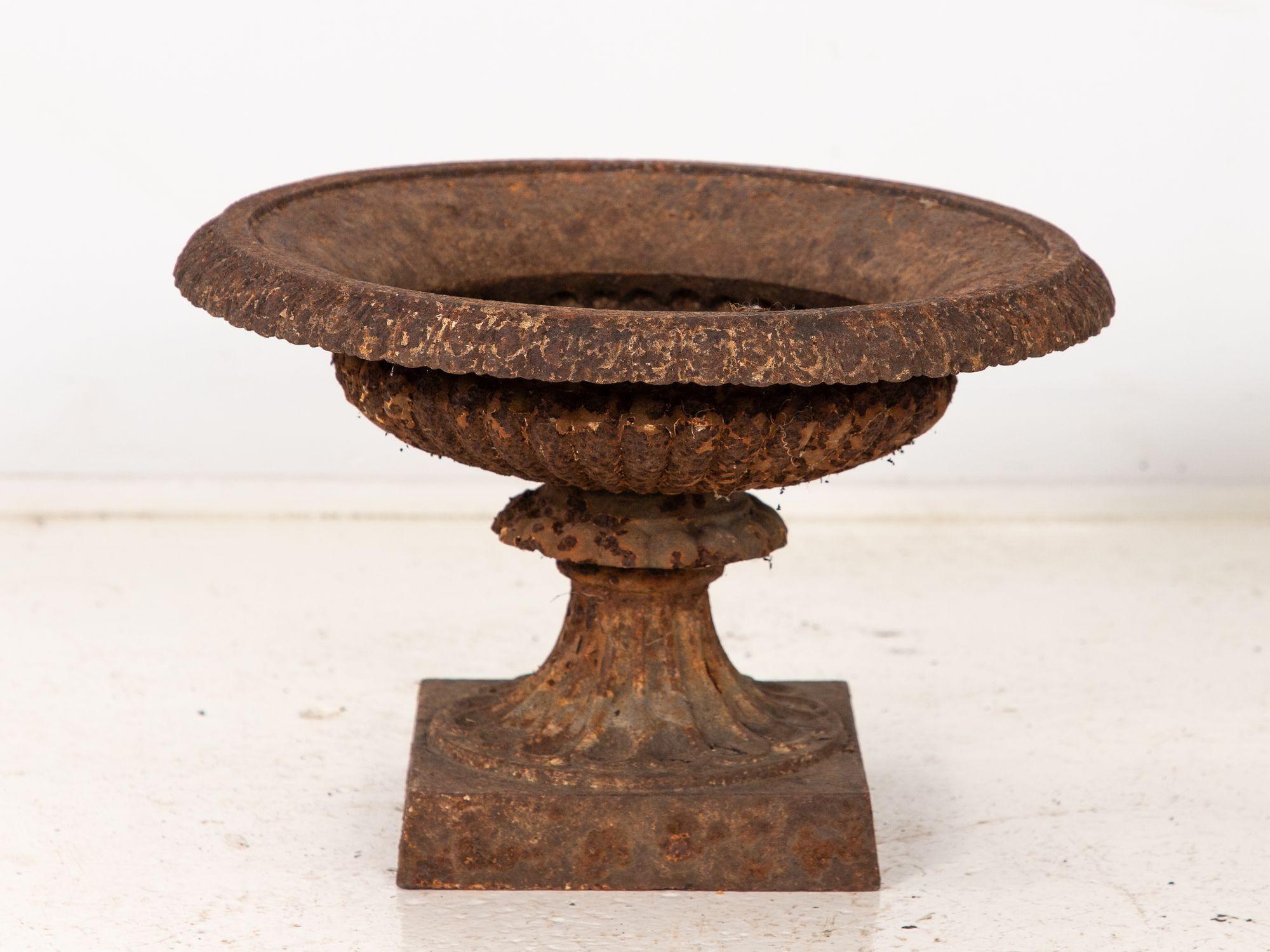 This elegant pair of cast iron urns boasts a charming, weathered patina, showcasing the beauty of age and craftsmanship. The urns feature a classic egg-and-dart pattern along the lip, a motif that dates back to ancient Greece and was popularized