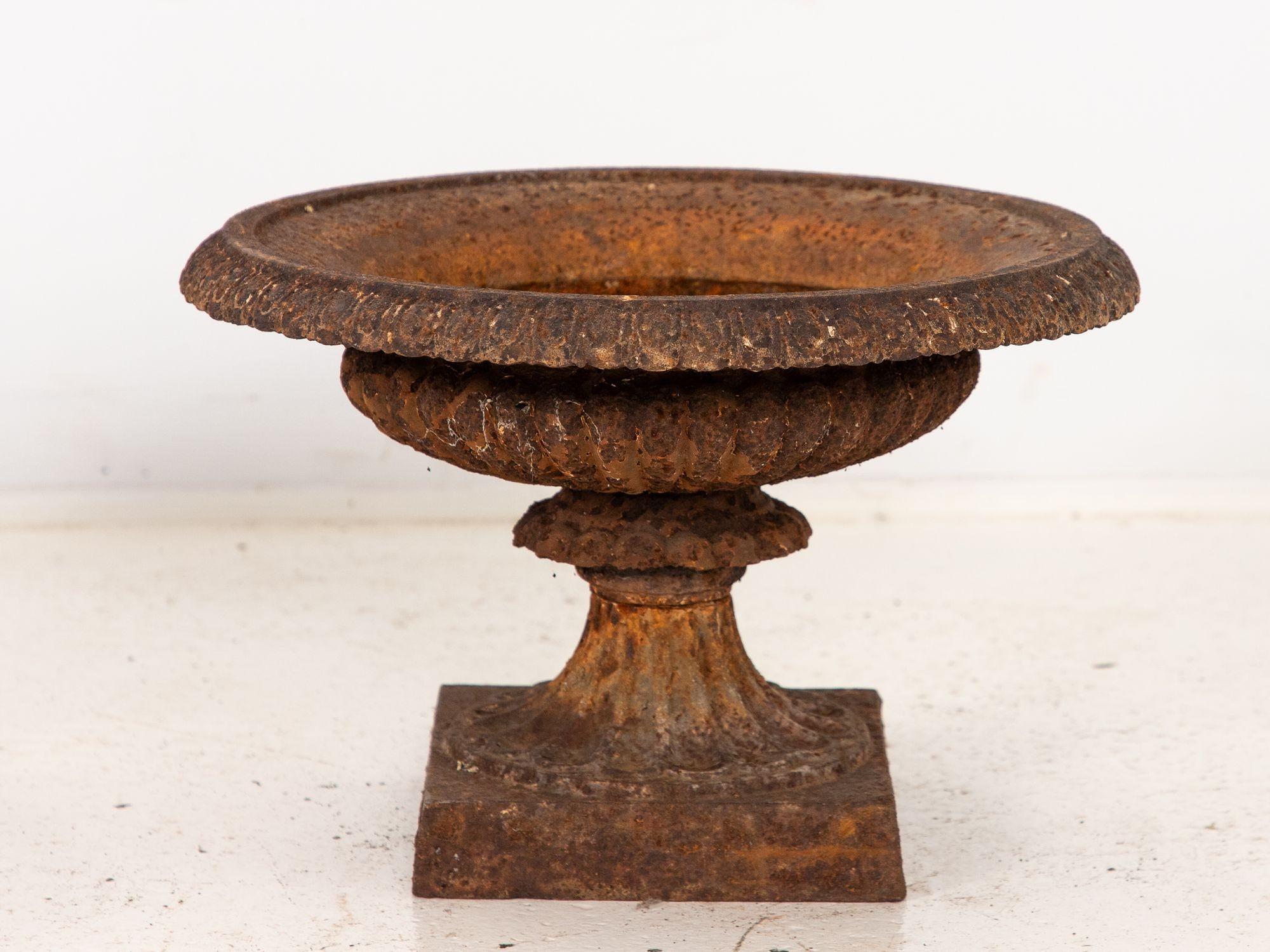 Pair of Neoclassical Cast Iron Urns, French early 20th C. In Good Condition For Sale In South Salem, NY