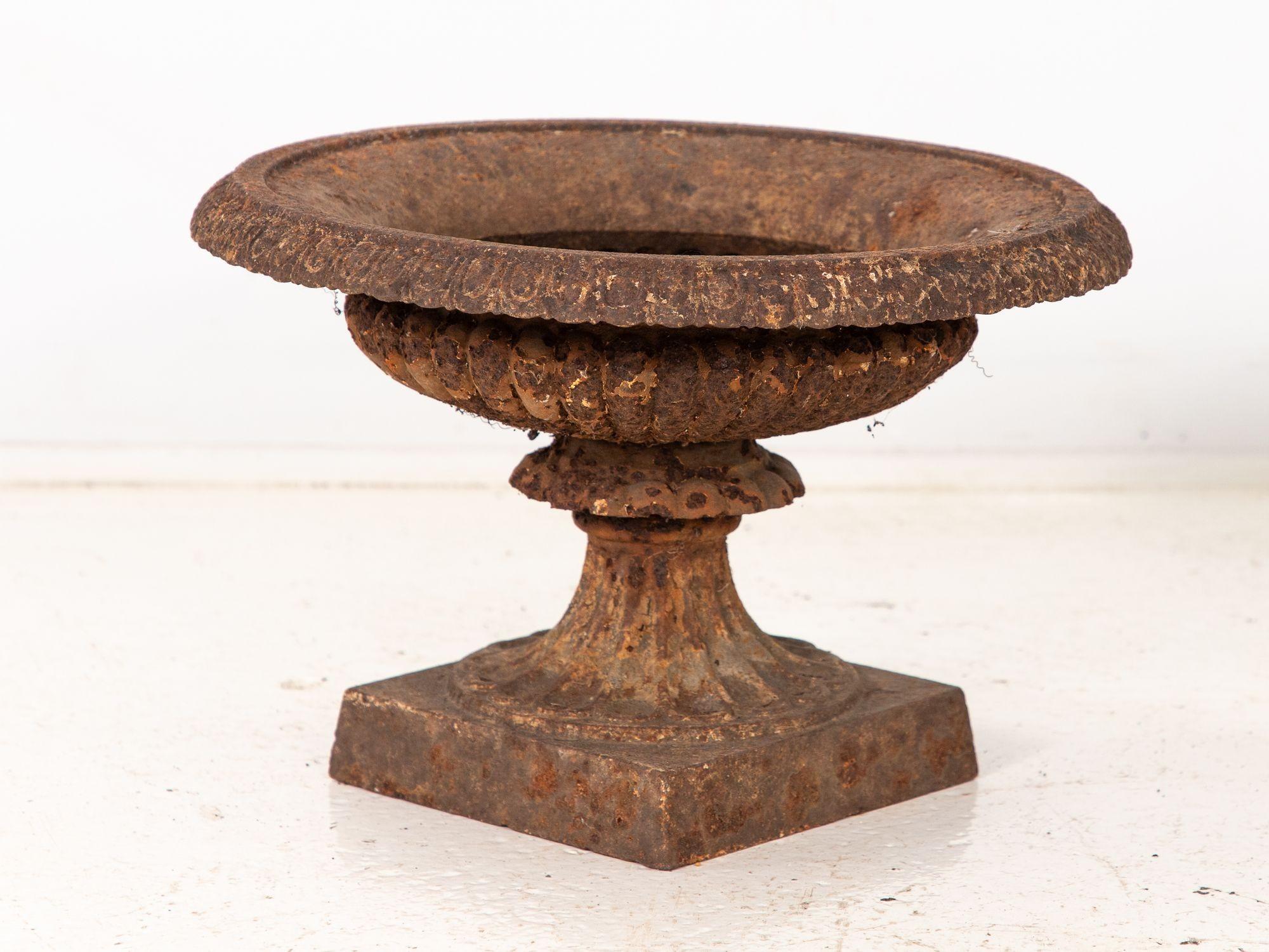 Pair of Neoclassical Cast Iron Urns, French early 20th C. For Sale 1