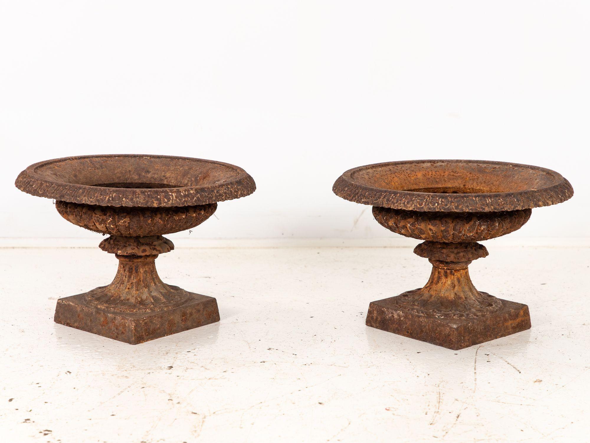 Pair of Neoclassical Cast Iron Urns, French early 20th C. For Sale 2